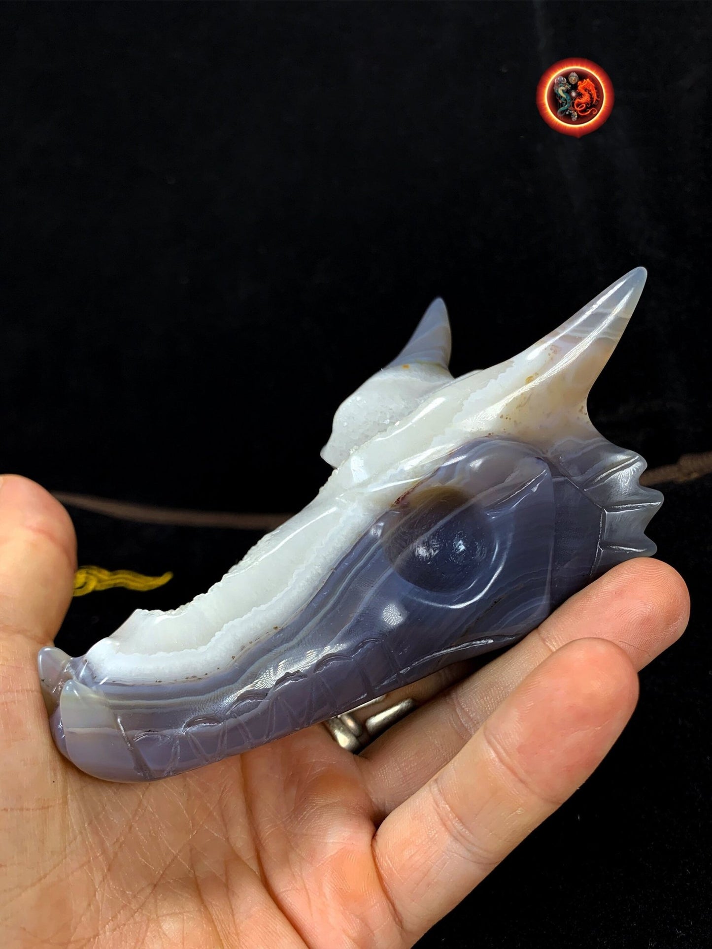 crâne de dragon, artisanal, pièce unique.