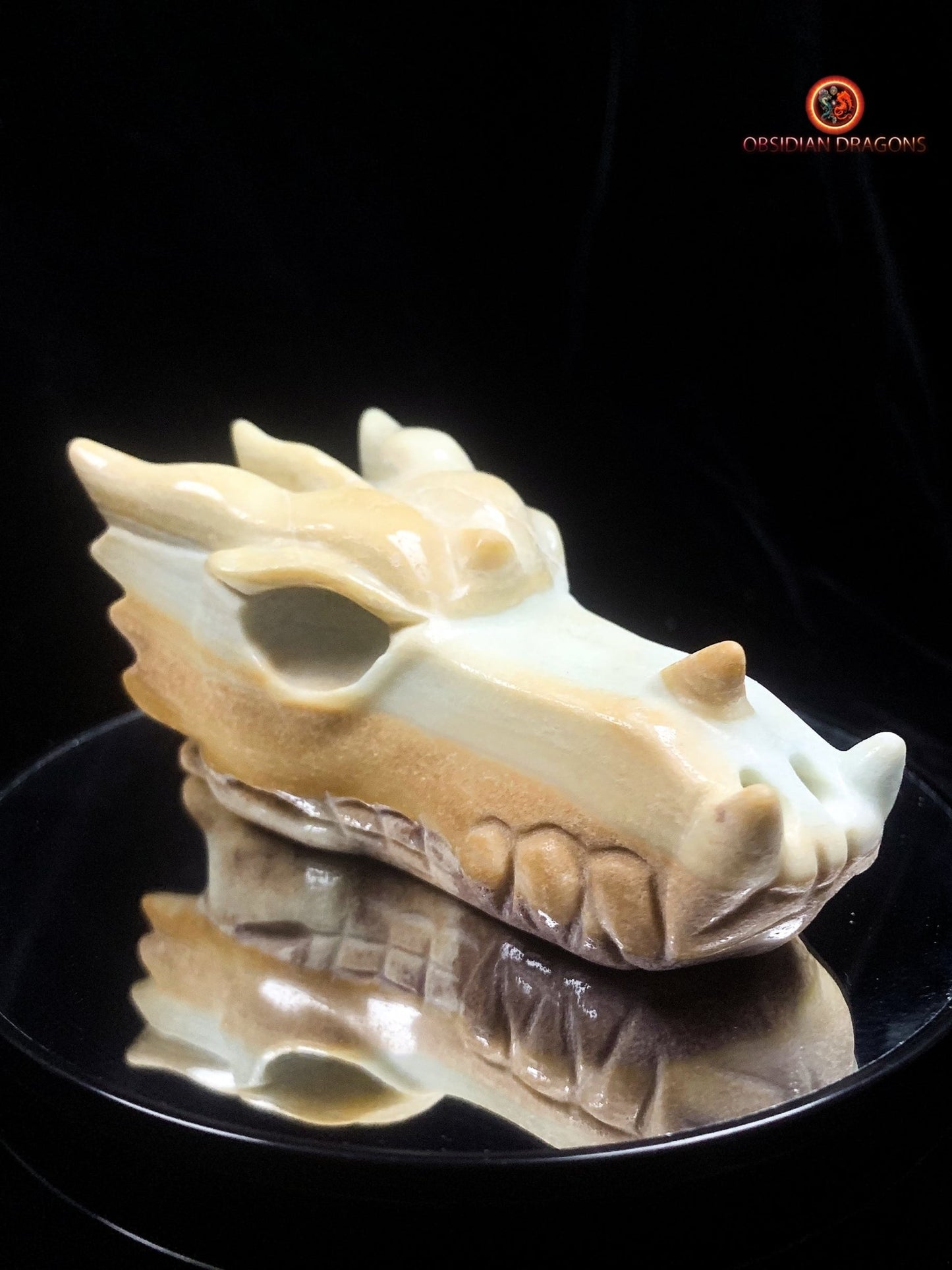 Crâne de dragon en Aragonite- Unique | obsidian dragons