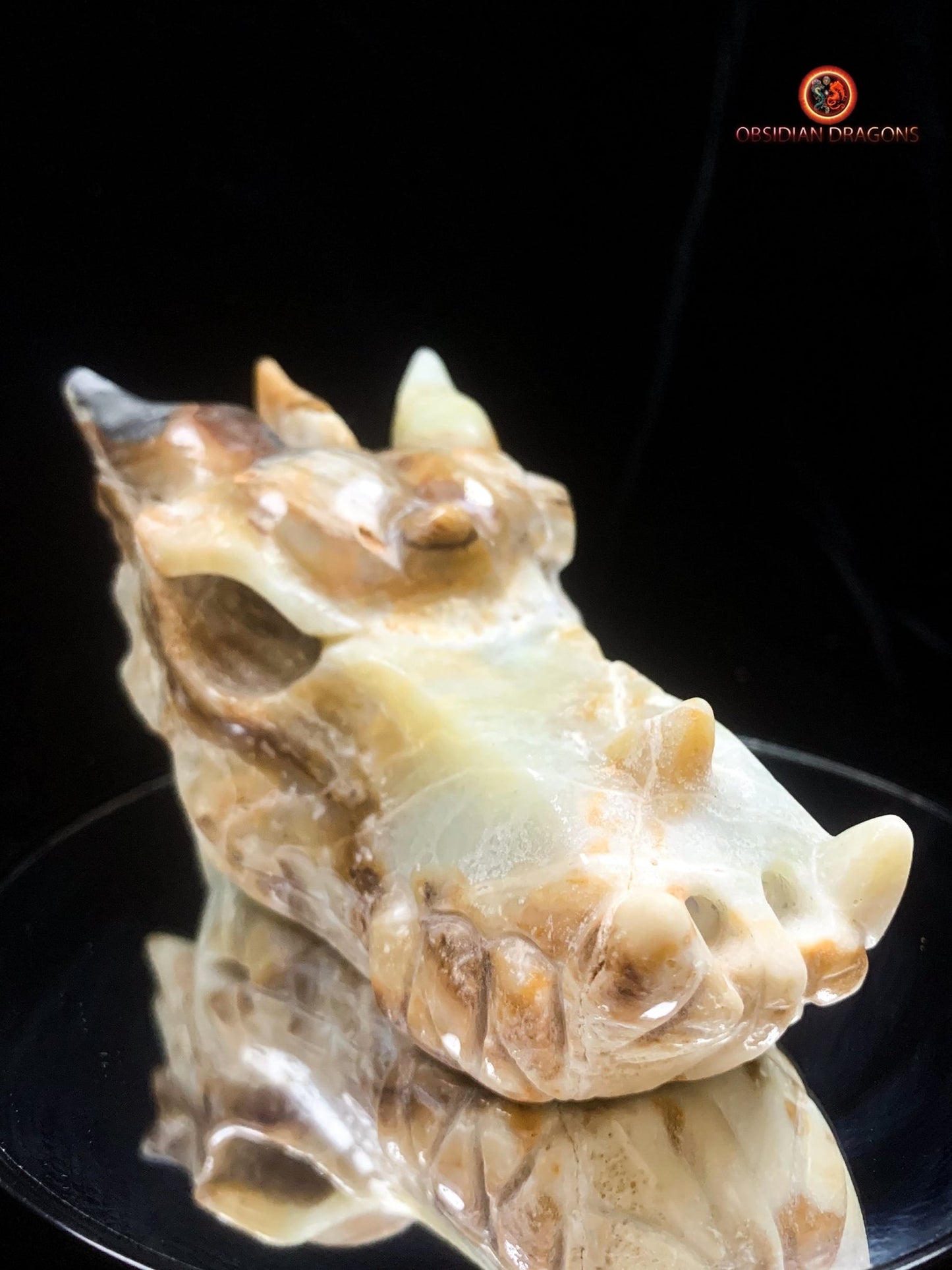 Crâne de dragon- Aragonite- Unique et artisanal | obsidian dragons
