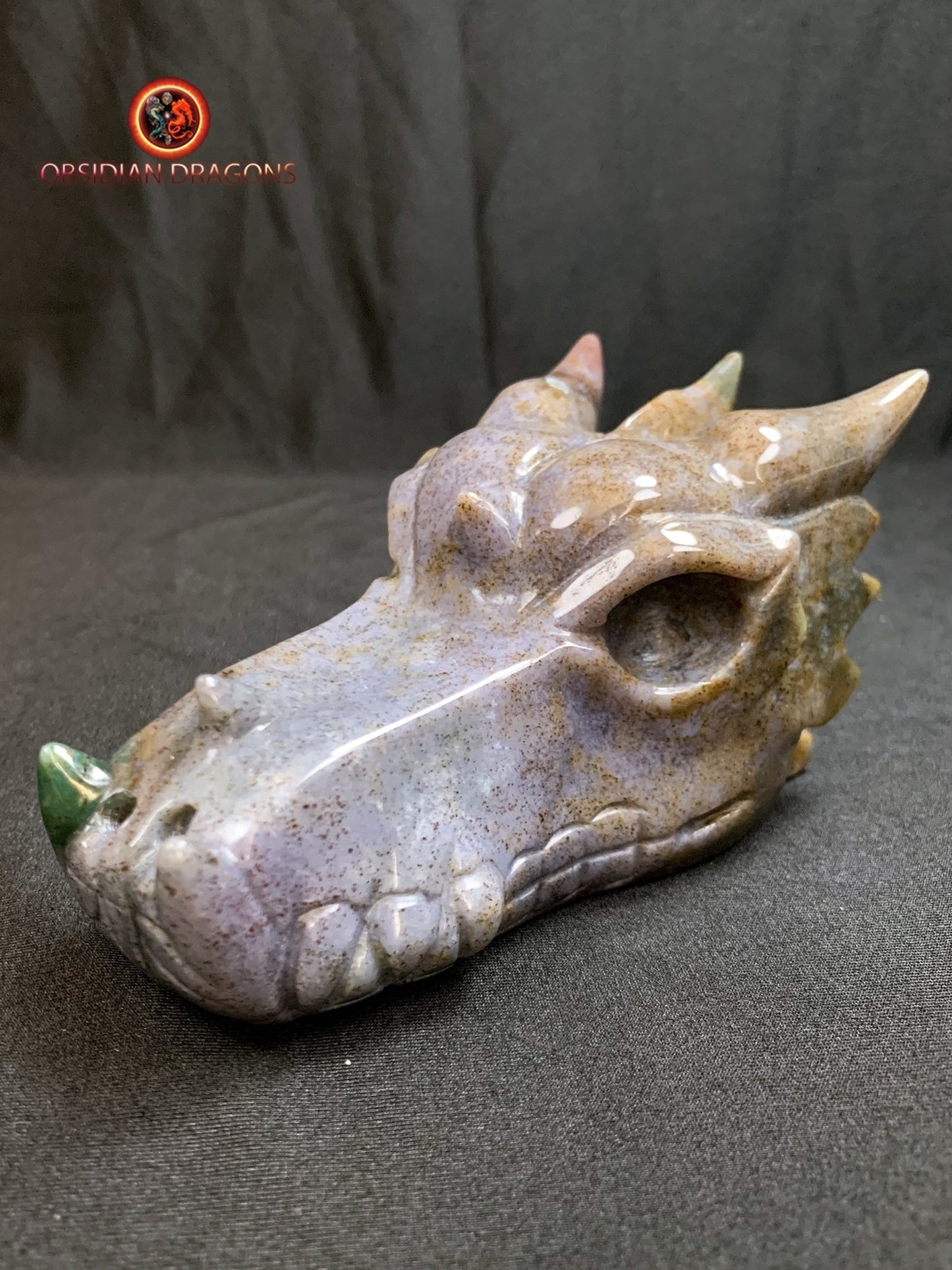 CRÂNE DE DRAGON- ARTISANAL- AGATE MOUSSE-UNIQUE