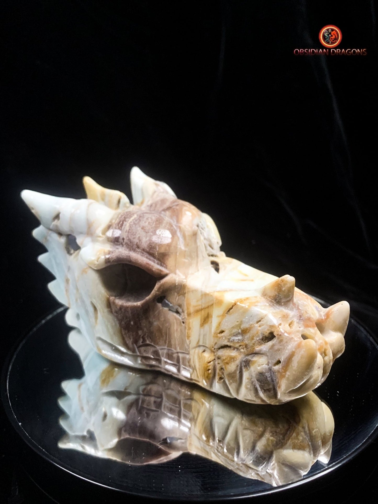 Crâne de dragon en Aragonite- Artisanal- Unique | obsidian dragons