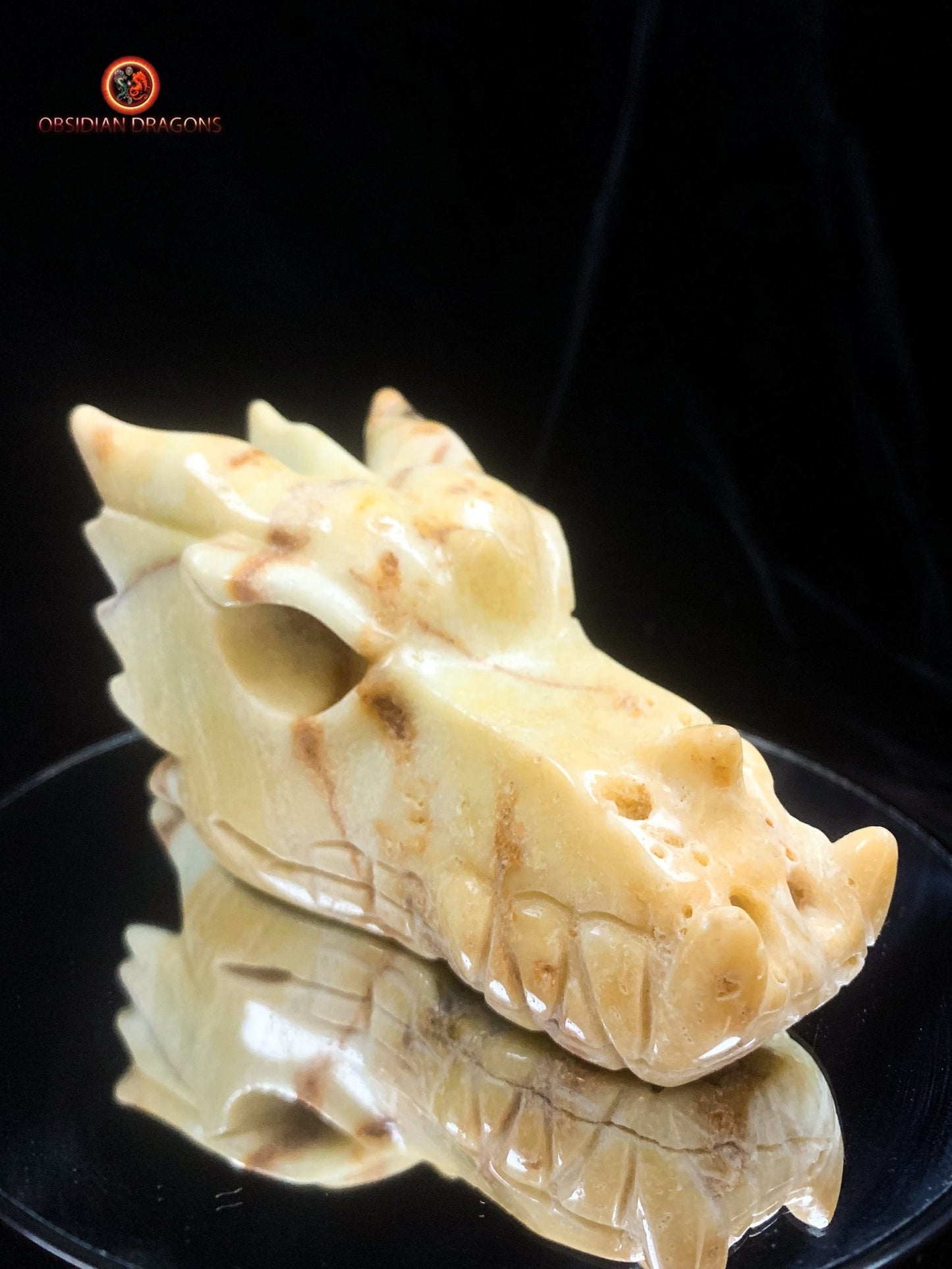 Crâne de dragon- Aragonite- Unique | obsidian dragons