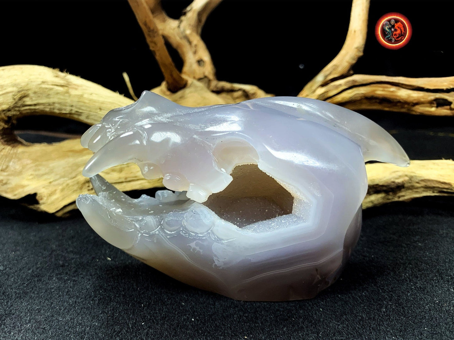 Crane de protection. Leopard Zheng. Dragon. Aspirateur d'energie impure, garant de l'ordre cosmique. Crane de dragon, sculpté dans une geode - obsidian dragon