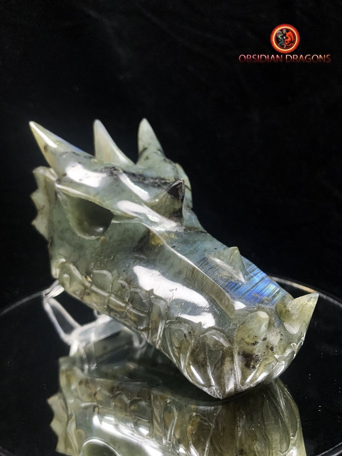 crâne de dragon en Labradorite- Artisanal