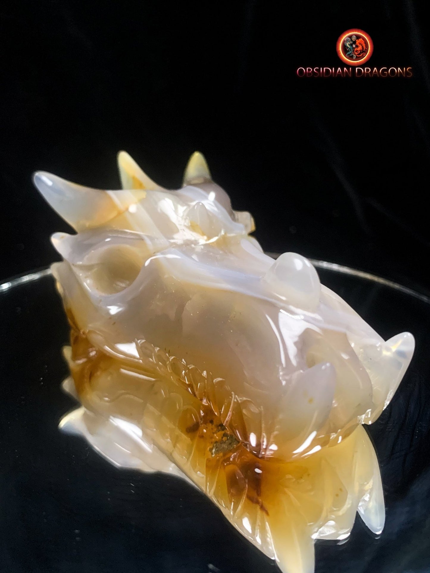 Crâne de dragon- Quartz- Méditation draconique | obsidian dragons