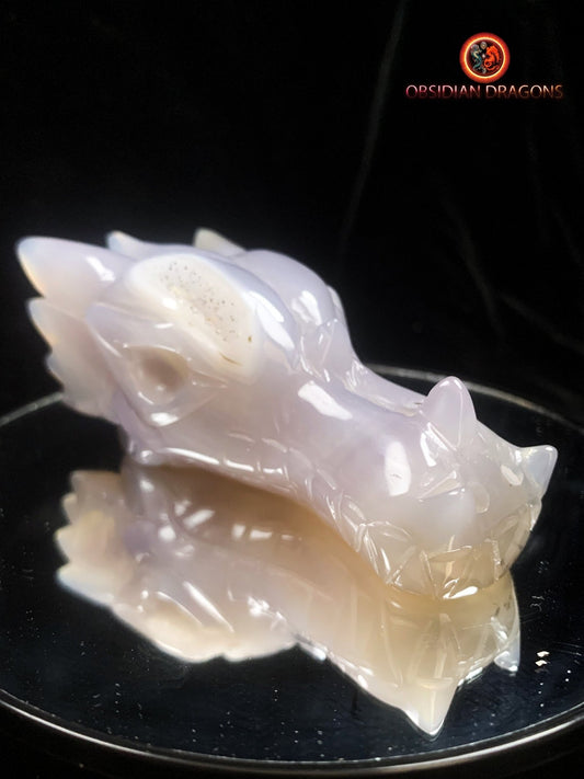 Crâne de dragon unique sculpté dans une géode de quartz | obsidian dragons