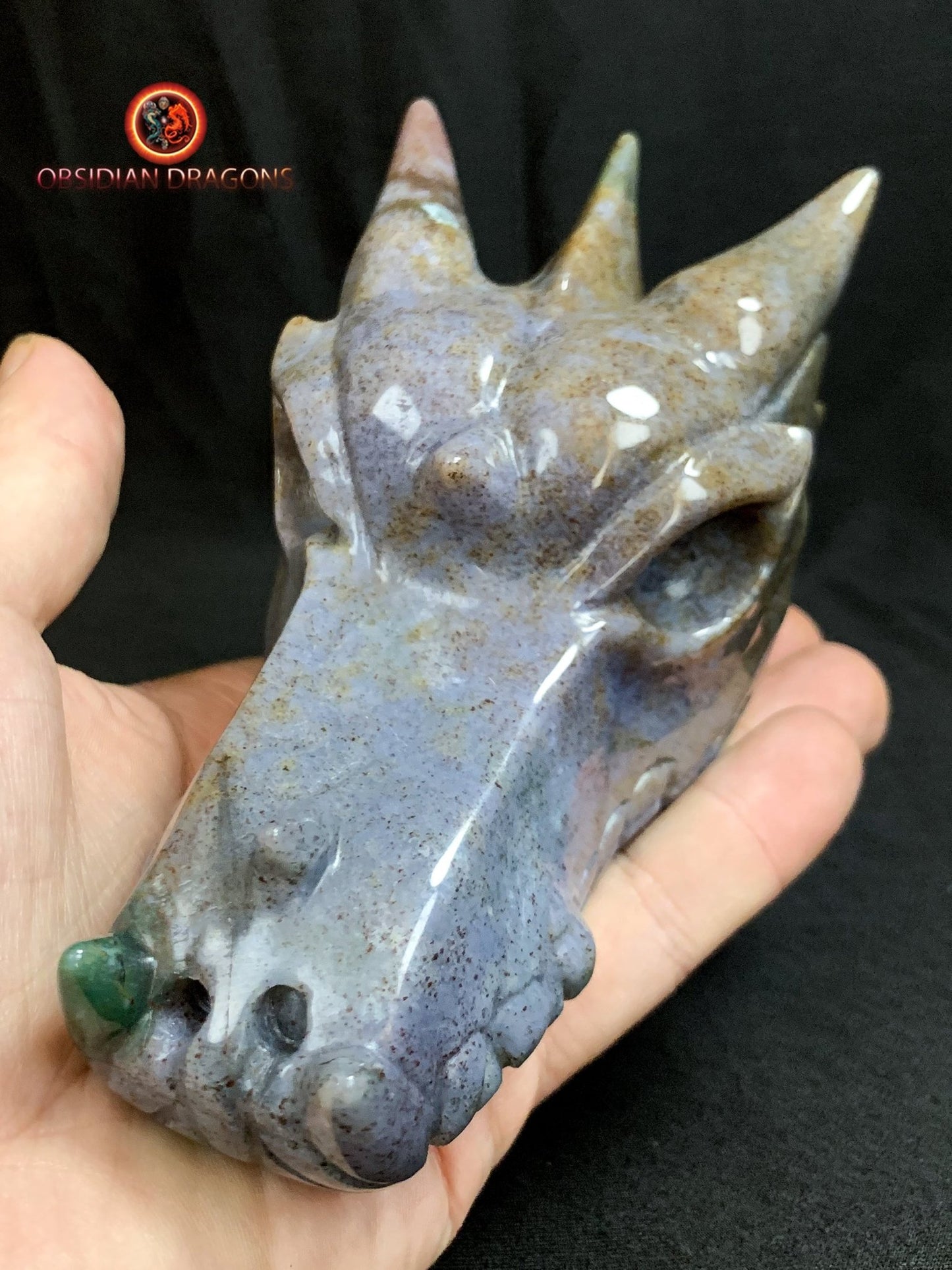 CRÂNE DE DRAGON- ARTISANAL- AGATE MOUSSE-UNIQUE