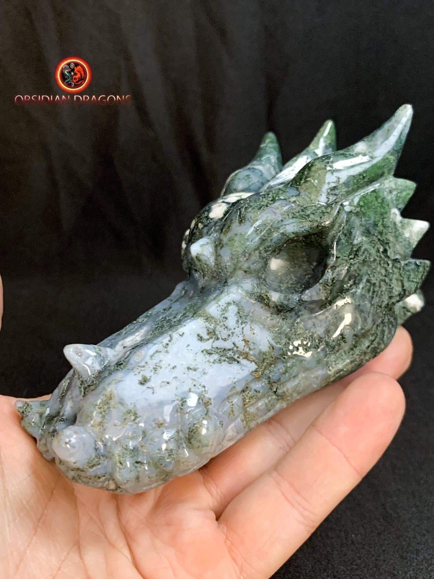 CRÂNE DE DRAGON- ARTISANAL- AGATE MOUSSE-UNIQUE