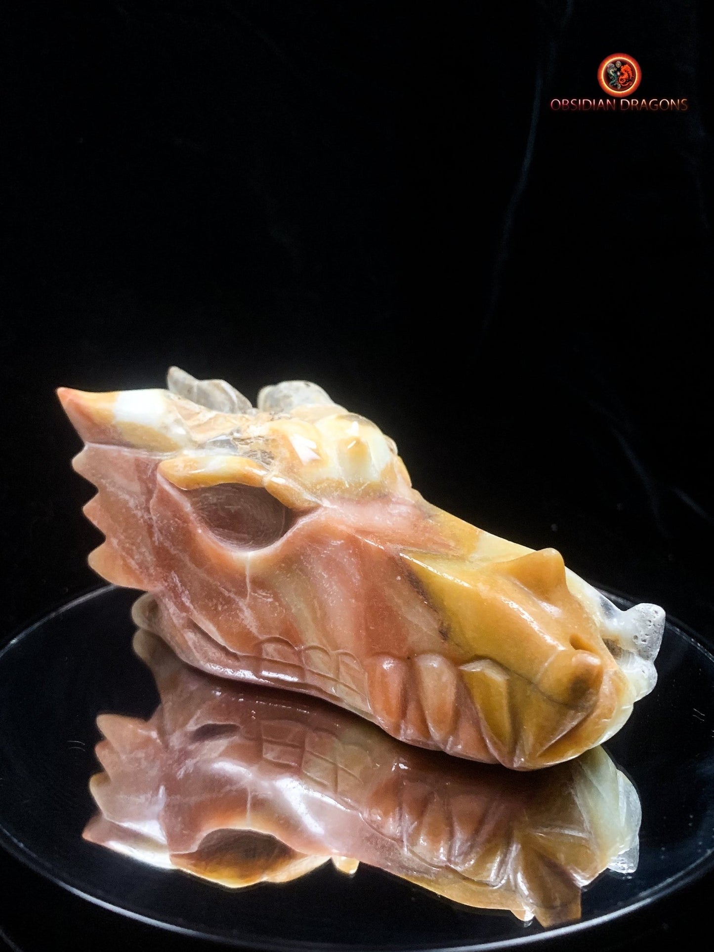 Crâne de dragon en Aragonite- Artisanal | obsidian dragons