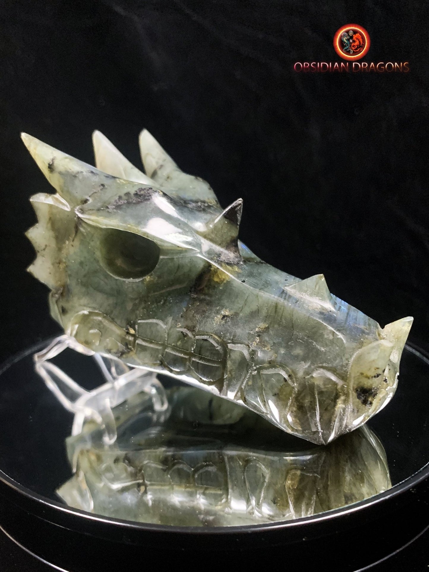 crâne de dragon en Labradorite- Artisanal