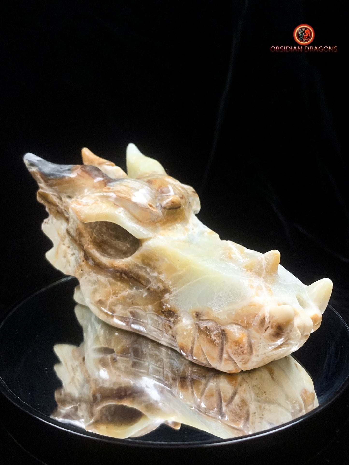 Crâne de dragon- Aragonite- Unique et artisanal | obsidian dragons