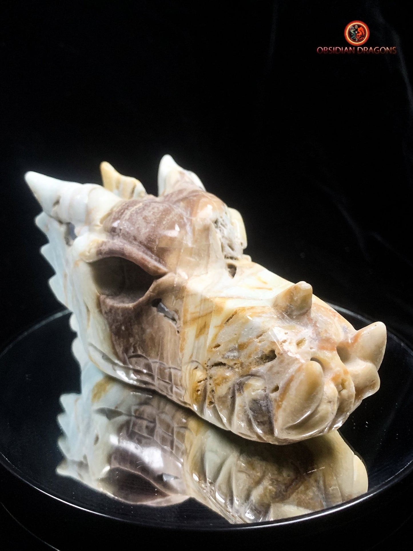 Crâne de dragon en Aragonite- Artisanal- Unique | obsidian dragons