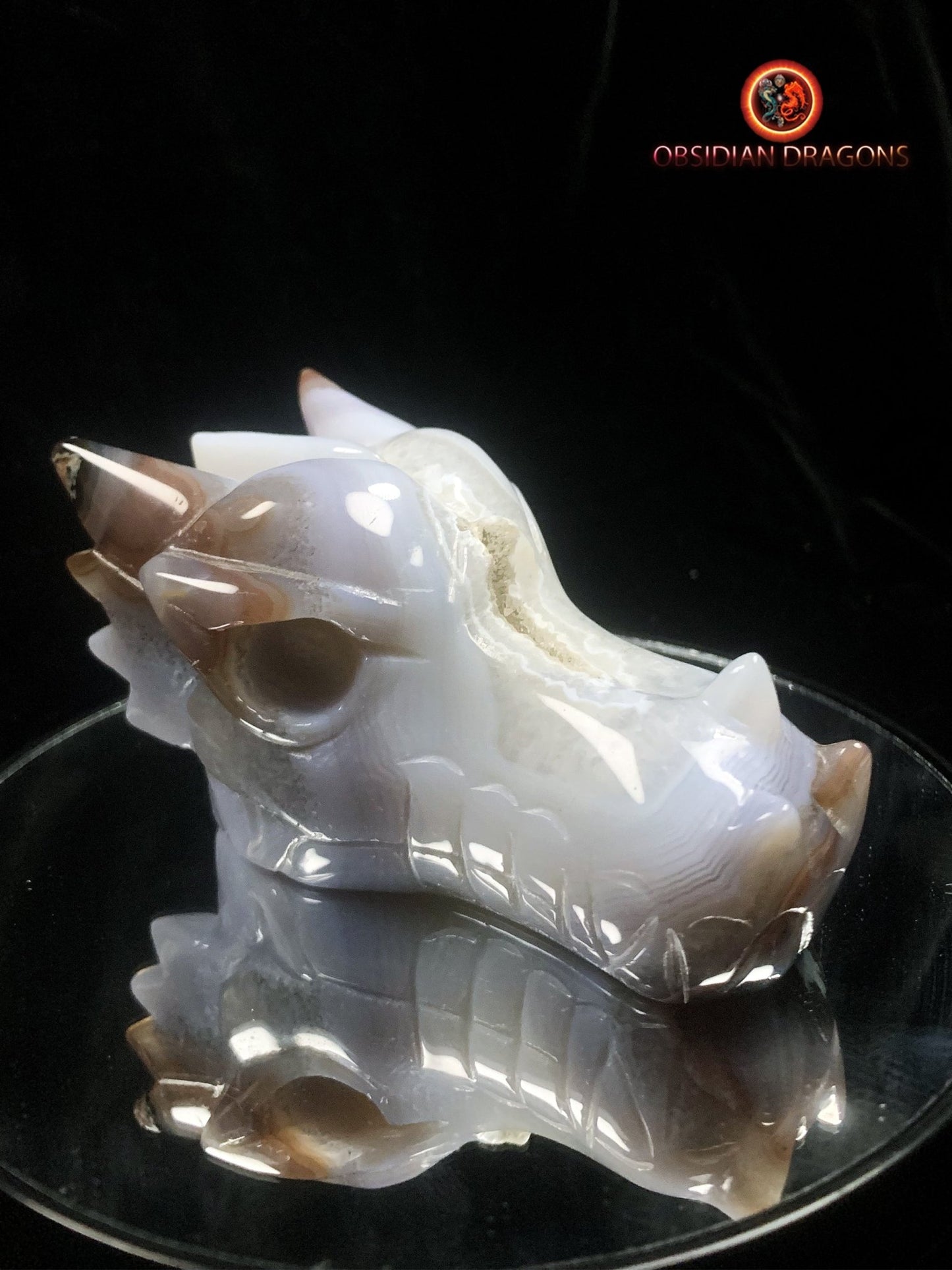 Crâne de dragon- Géode- Méditation draconique - obsidian dragons