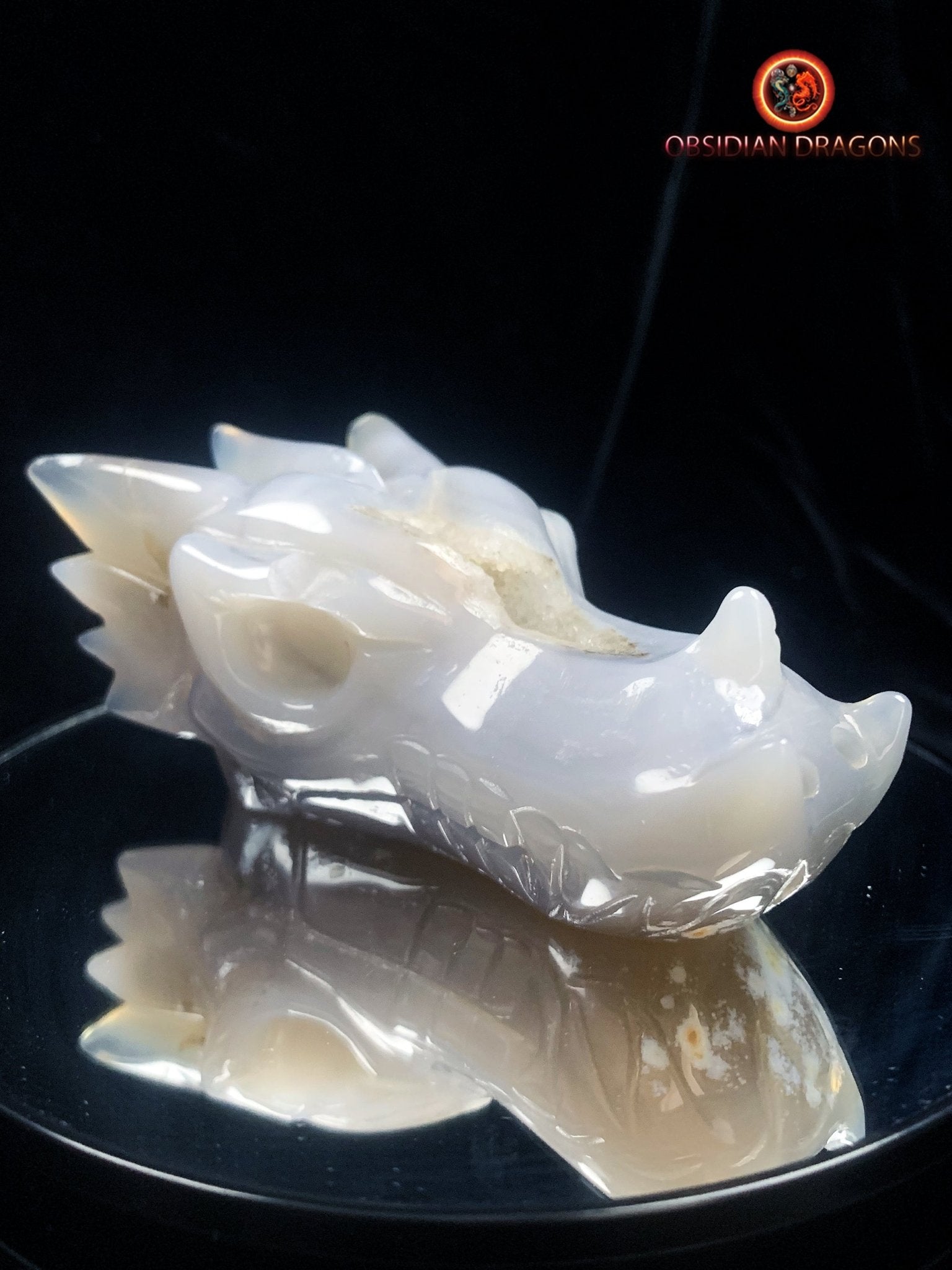 Crâne de dragon- Geode de quartz- méditation - obsidian dragons