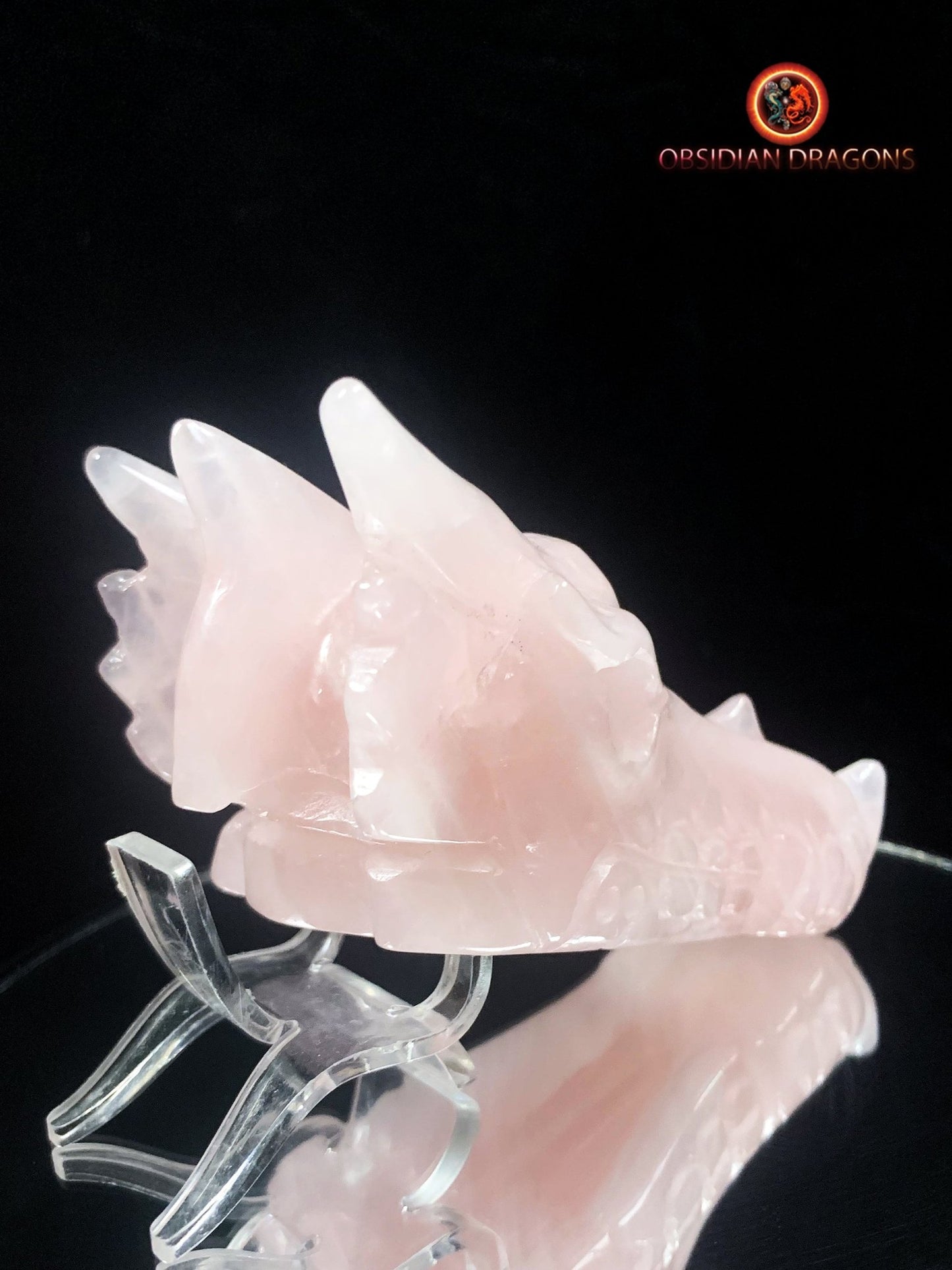 Crâne de dragon en quartz rose- pièce unique