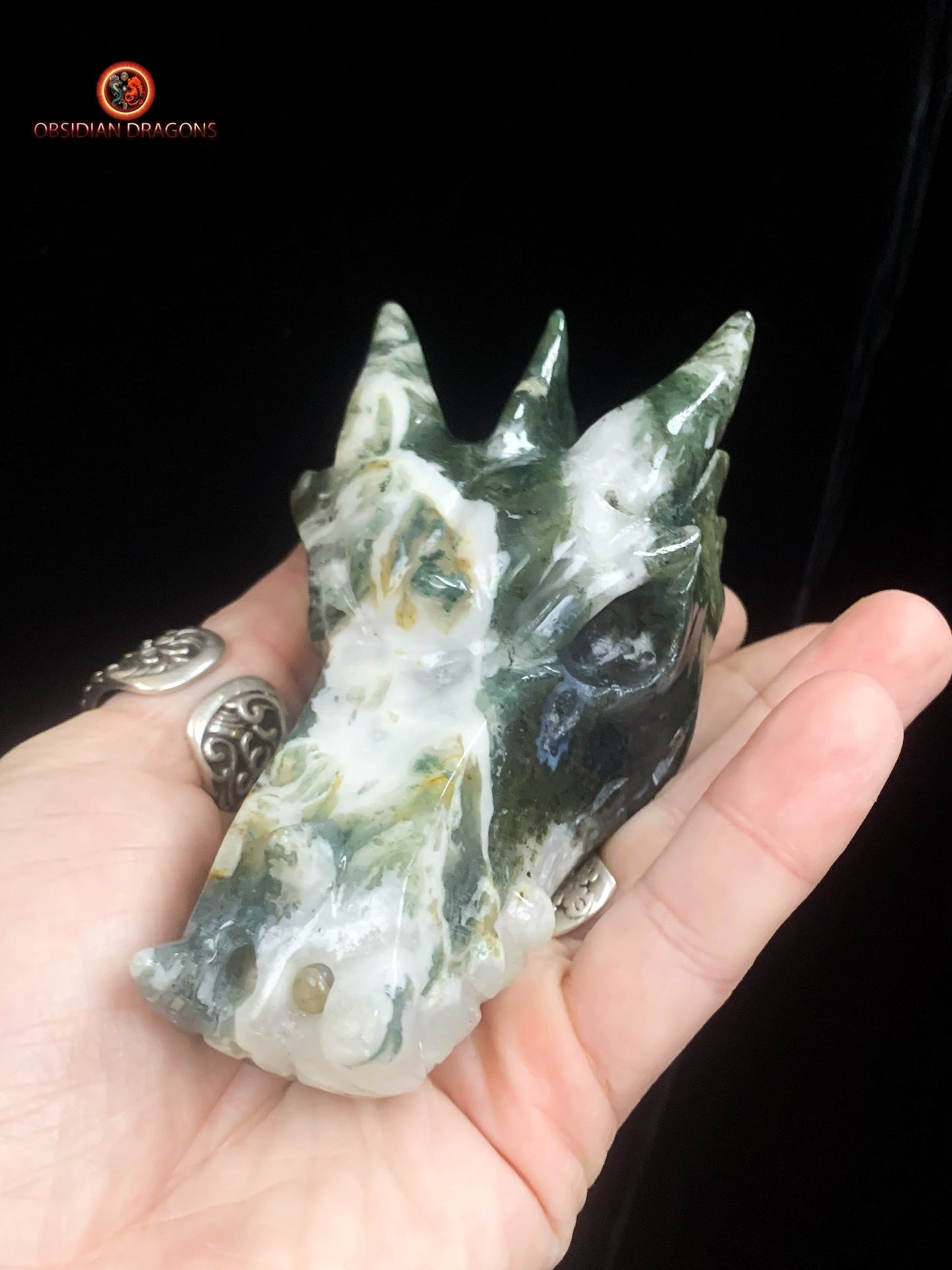 Crâne de dragon- Agate mousse- Artisanal | obsidian dragons