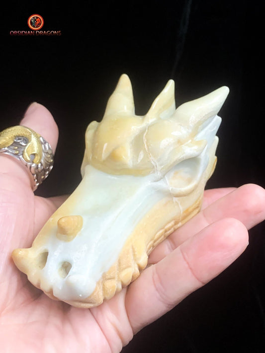 Crâne de dragon en Aragonite- Unique | obsidian dragons