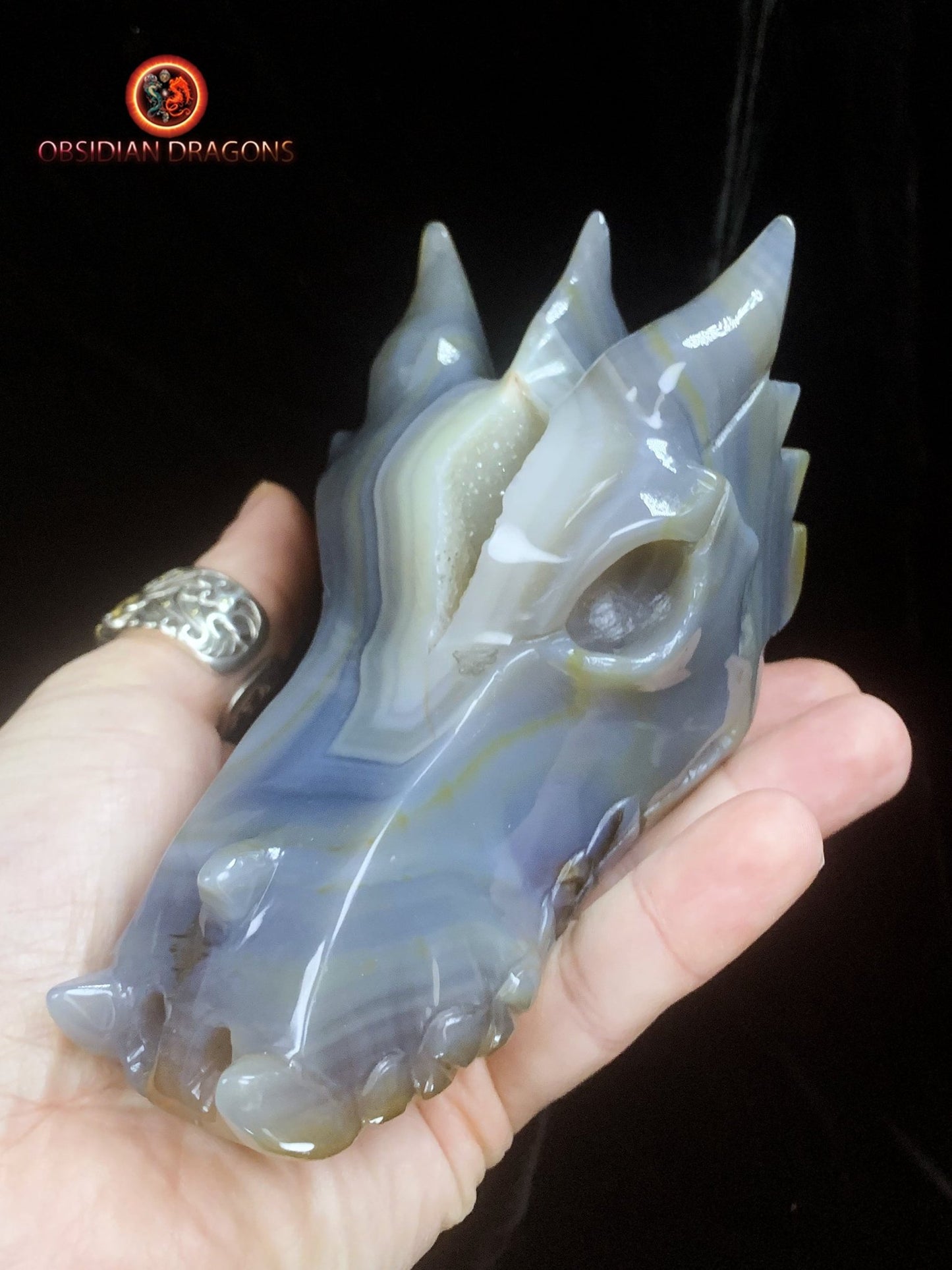 Crâne de dragon- Geode de quartz- Exceptionnel | obsidian dragons