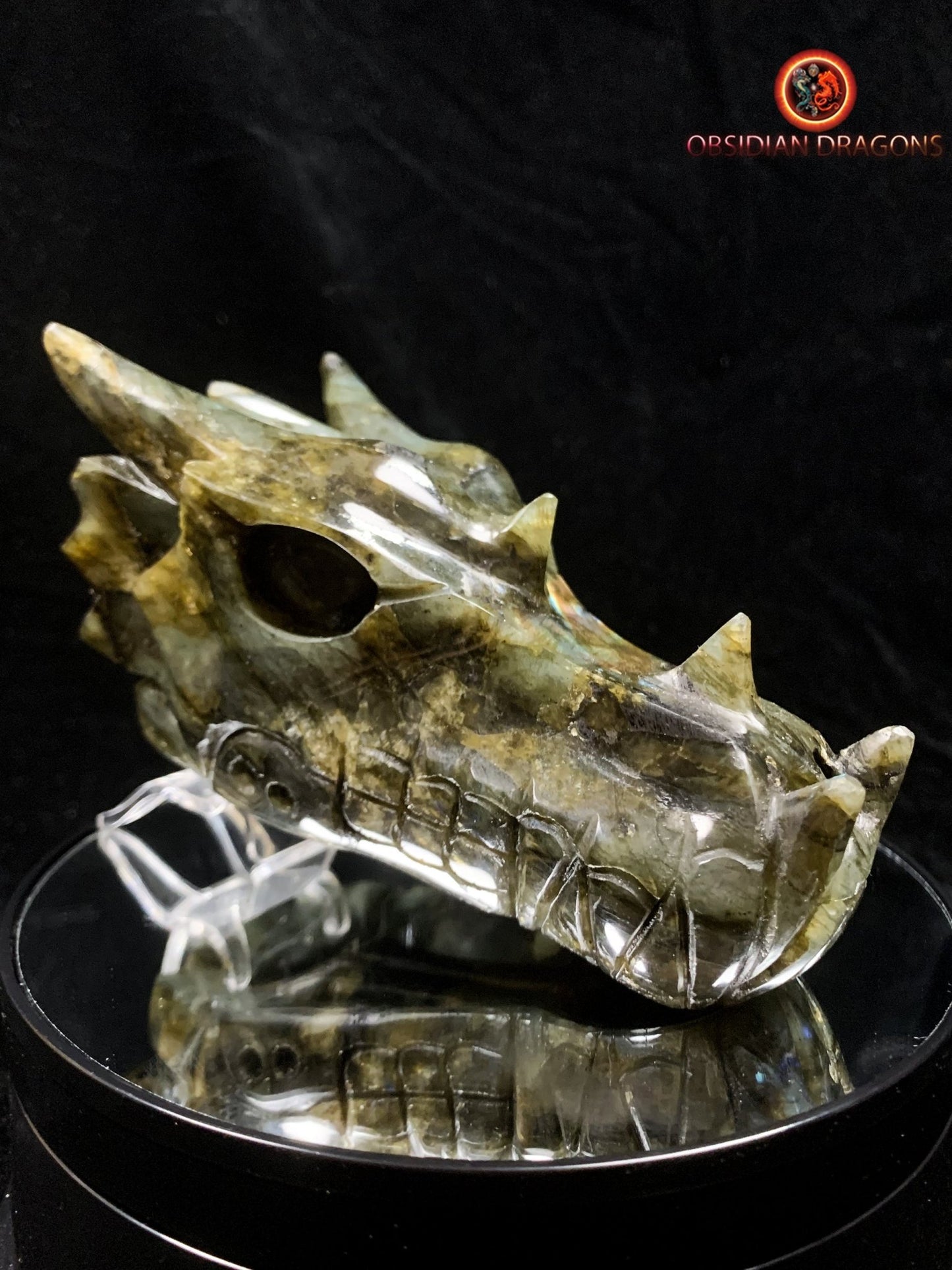 crâne de dragon- Labradorite- Authentique