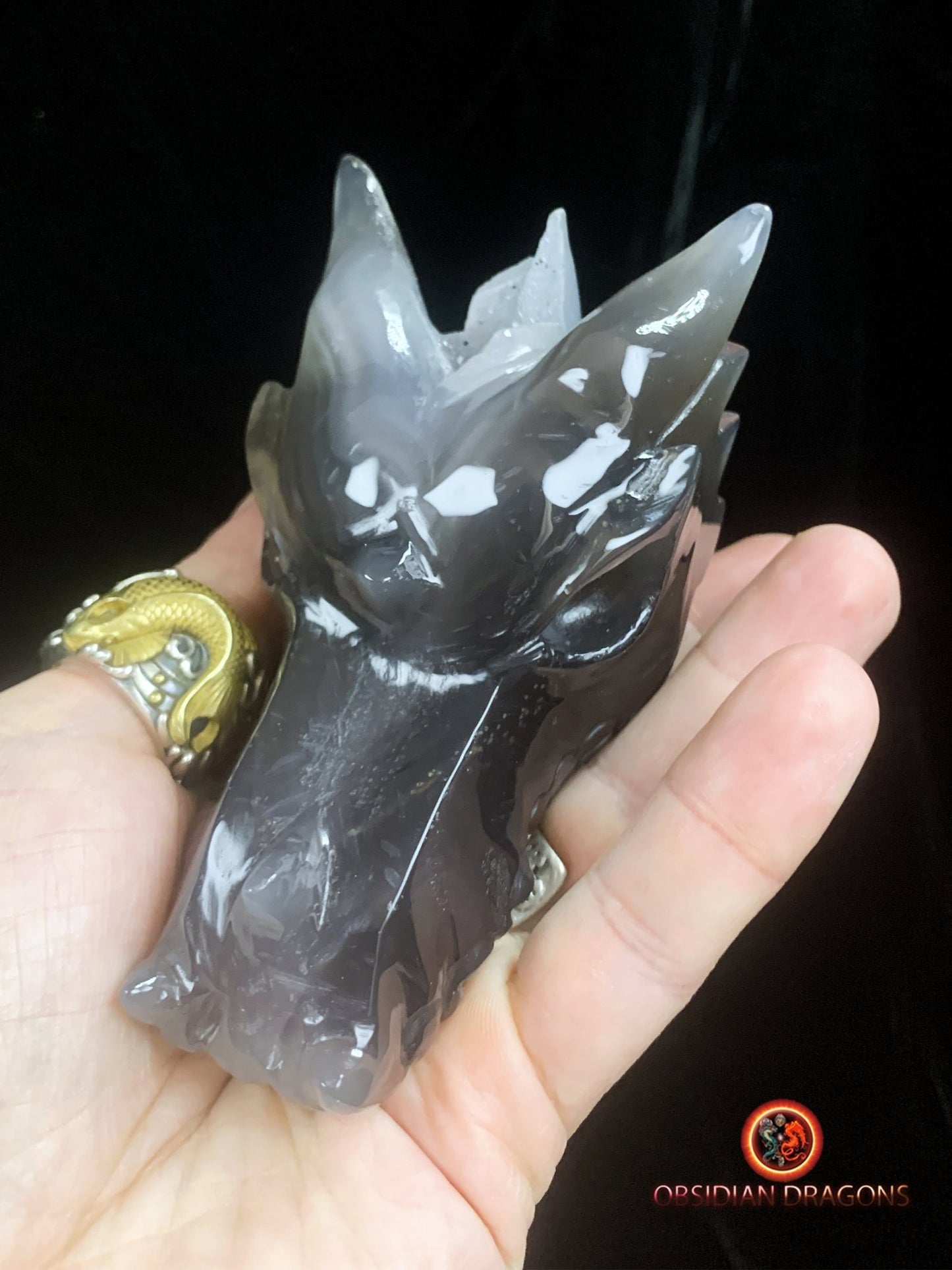 Crâne de dragon- Géode de quartz- Méditation draconique | obsidian dragons