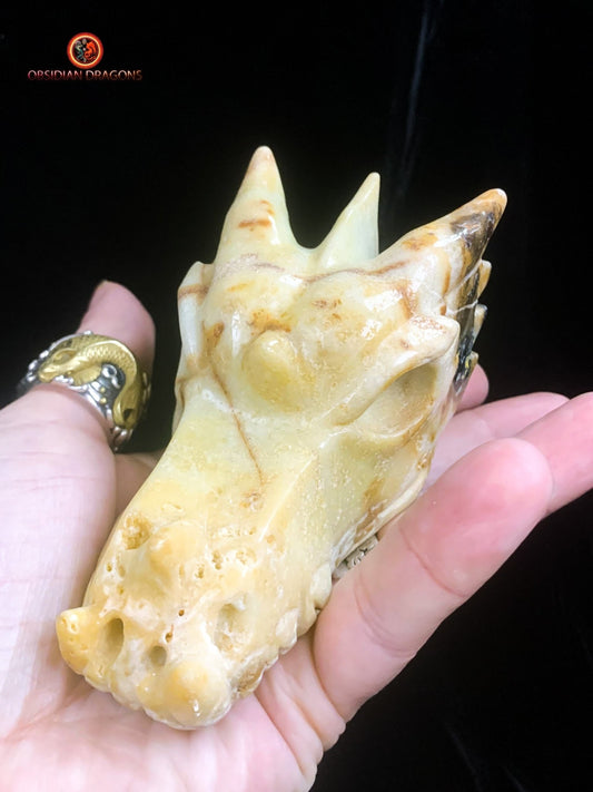 Crâne de dragon- Aragonite- Unique | obsidian dragons