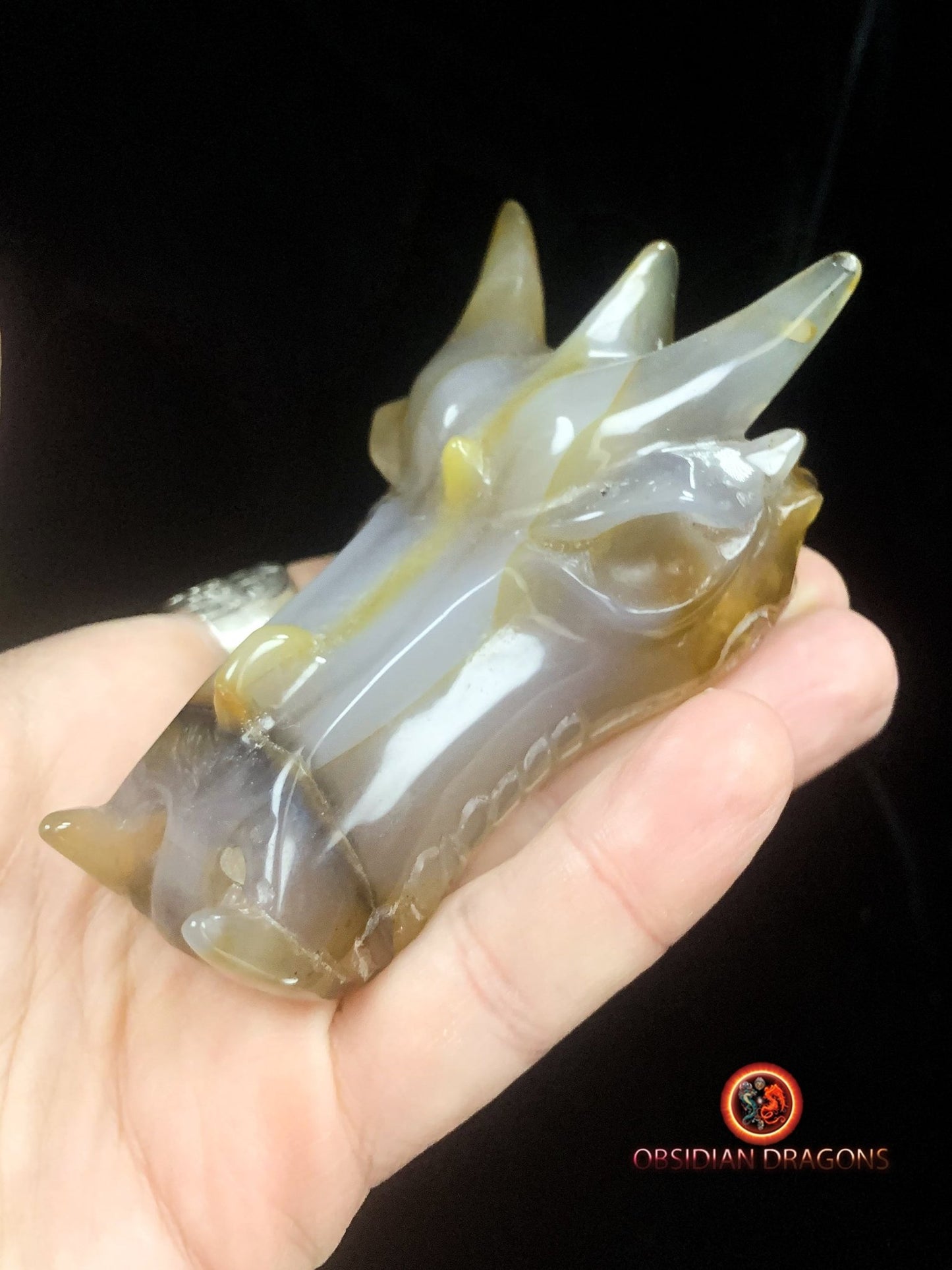 Crâne de dragon sculpté dans une géode de quartz | obsidian dragons