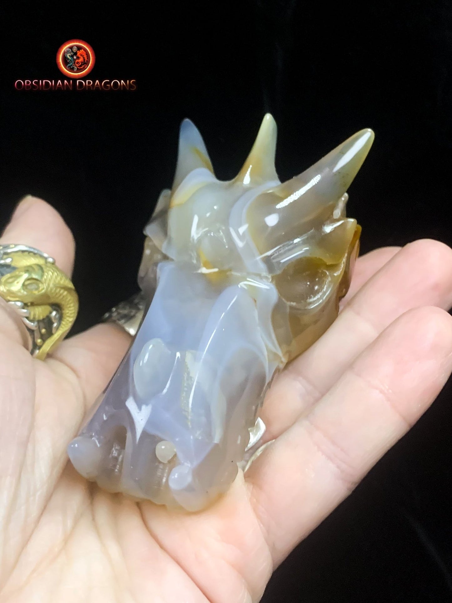 Crâne de dragon- Quartz- Méditation draconique | obsidian dragons