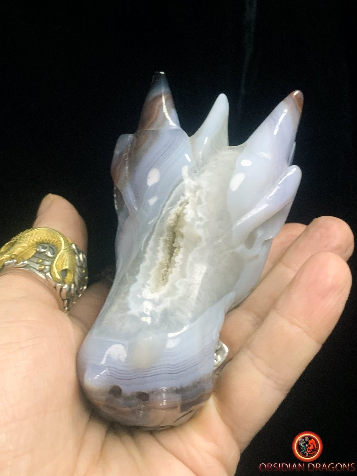 Crâne de dragon- Géode- Méditation draconique - obsidian dragons