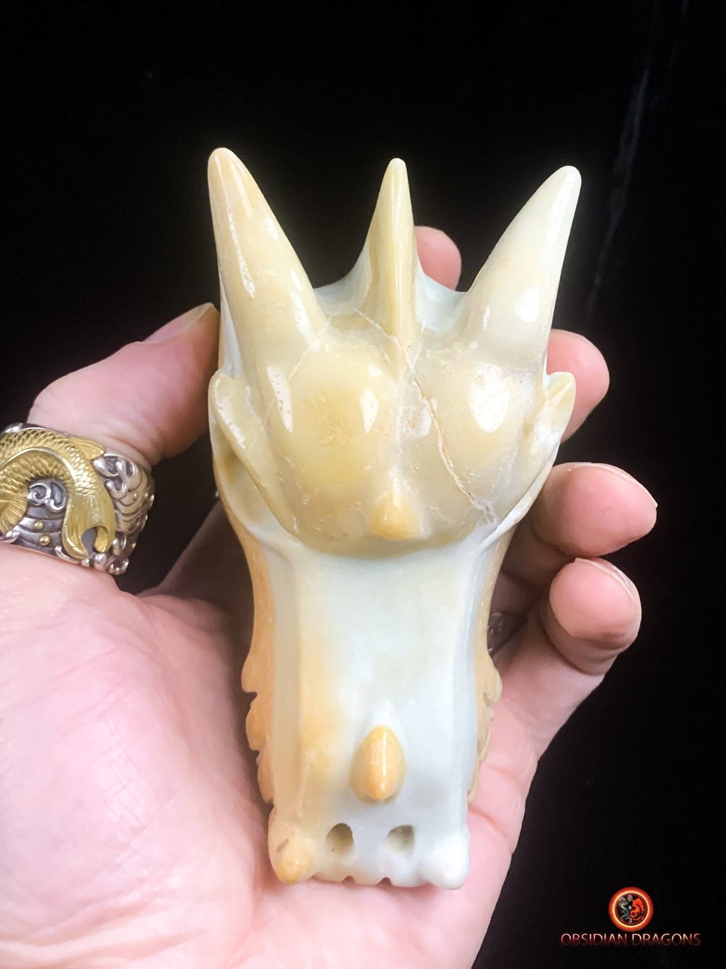 Crâne de dragon en Aragonite- Unique | obsidian dragons