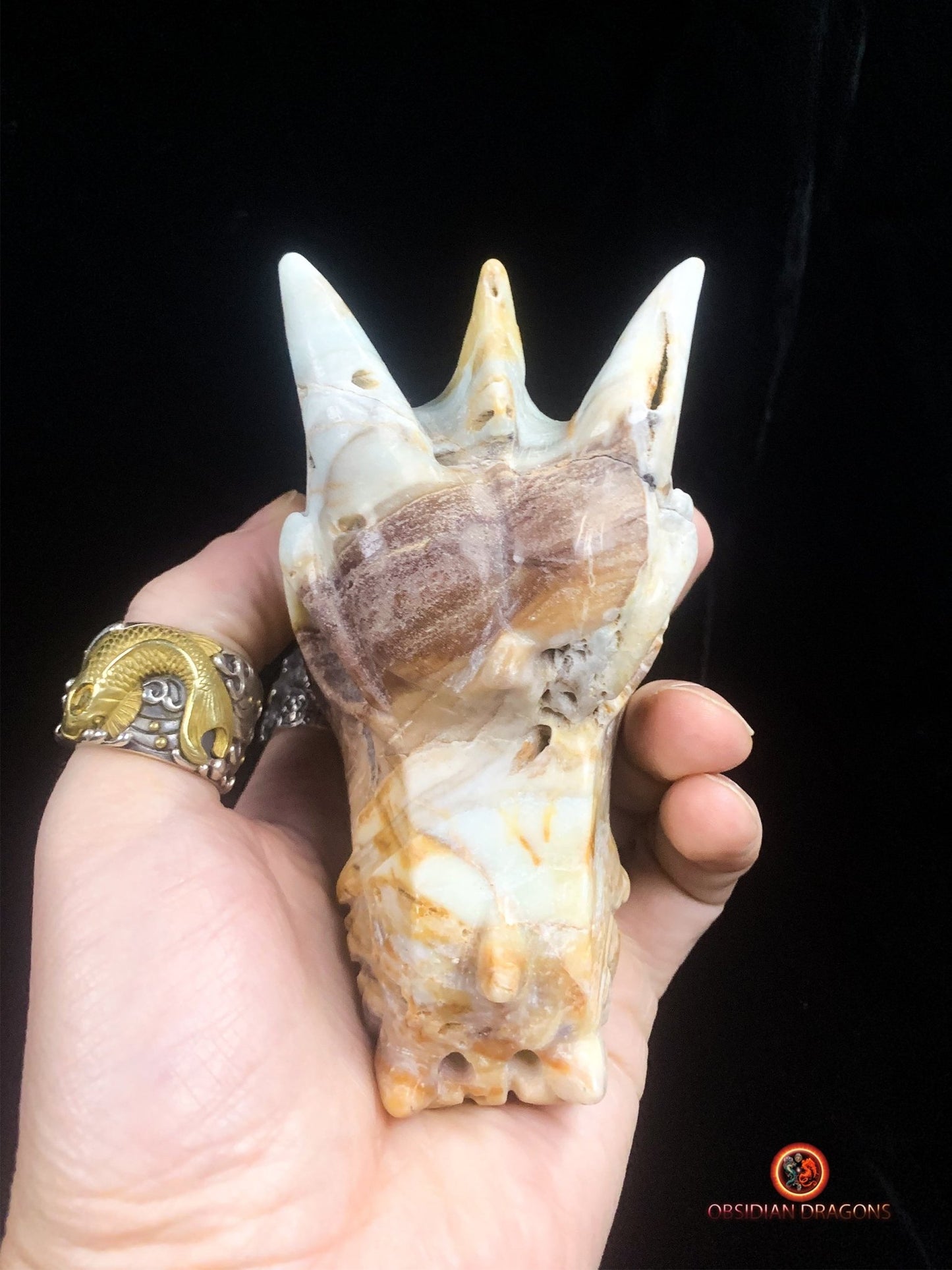 Crâne de dragon en Aragonite- Artisanal- Unique | obsidian dragons