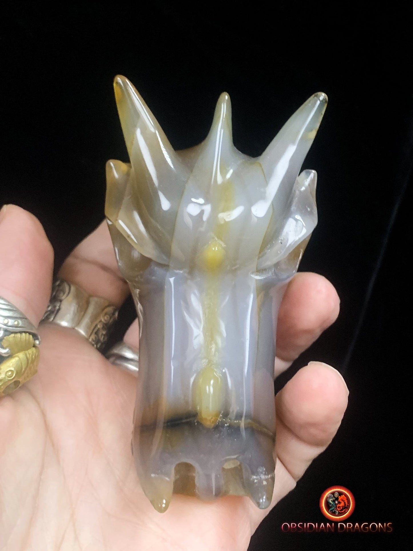 Crâne de dragon sculpté dans une géode de quartz | obsidian dragons