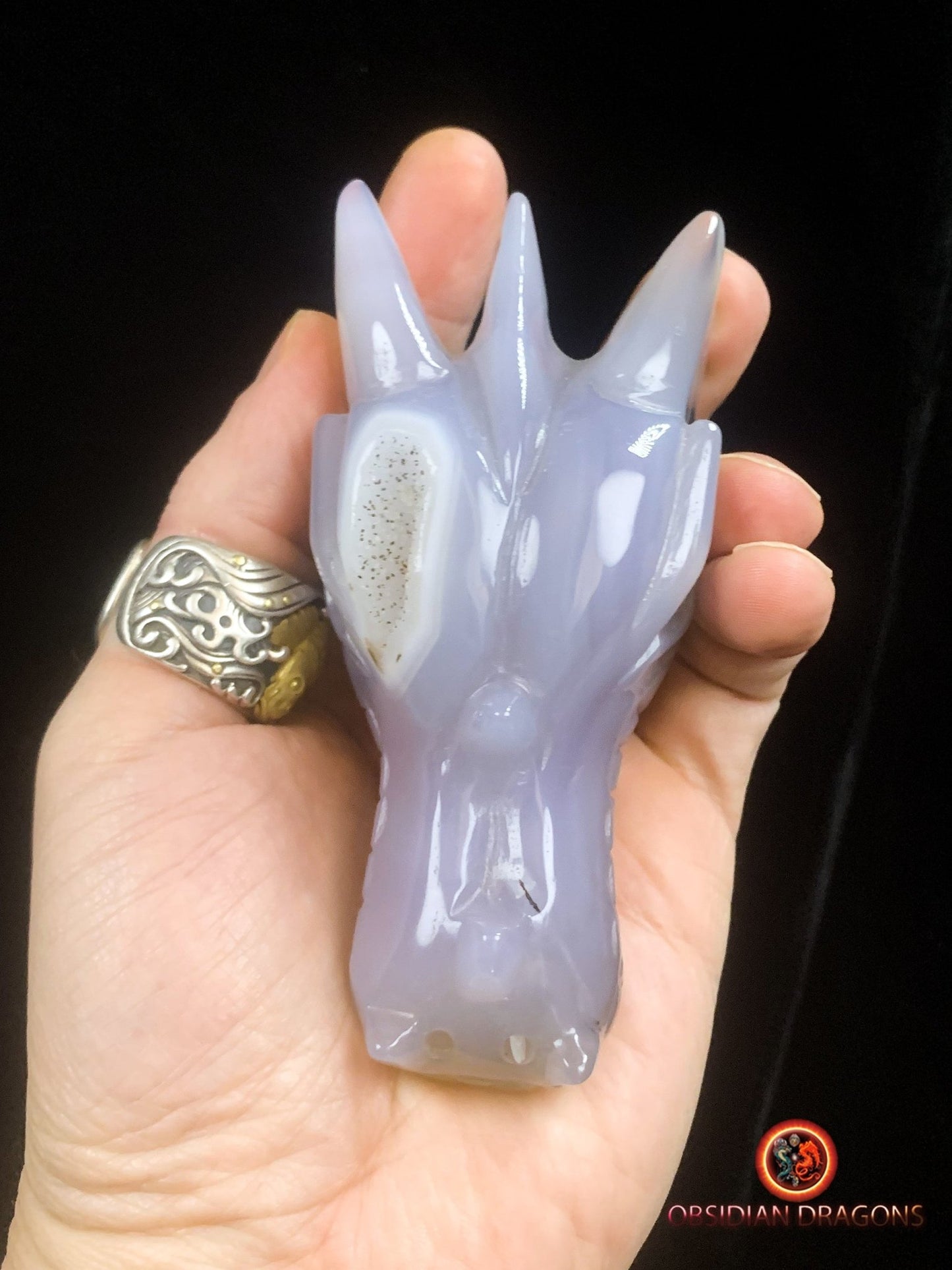 Crâne de dragon unique sculpté dans une géode de quartz | obsidian dragons