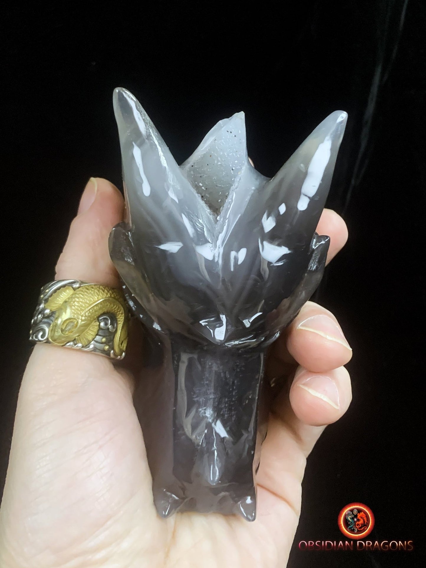 Crâne de dragon- Géode de quartz- Méditation draconique | obsidian dragons