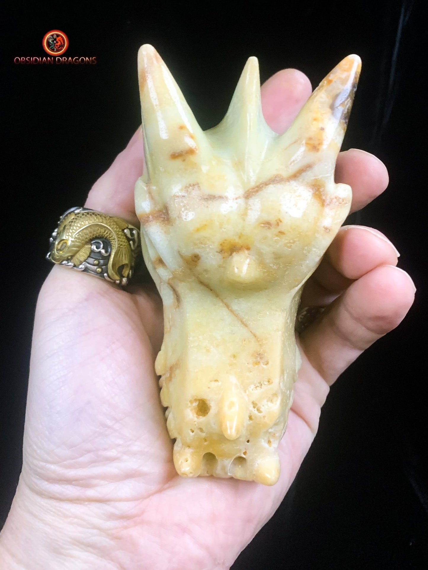Crâne de dragon- Aragonite- Unique | obsidian dragons