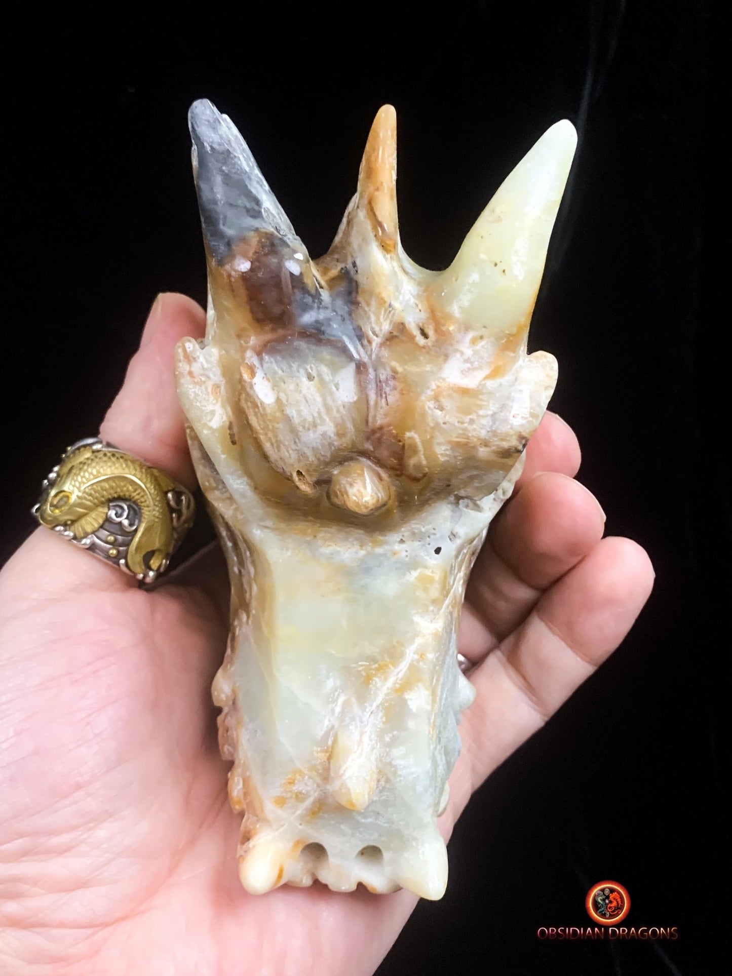 Crâne de dragon- Aragonite- Unique et artisanal | obsidian dragons
