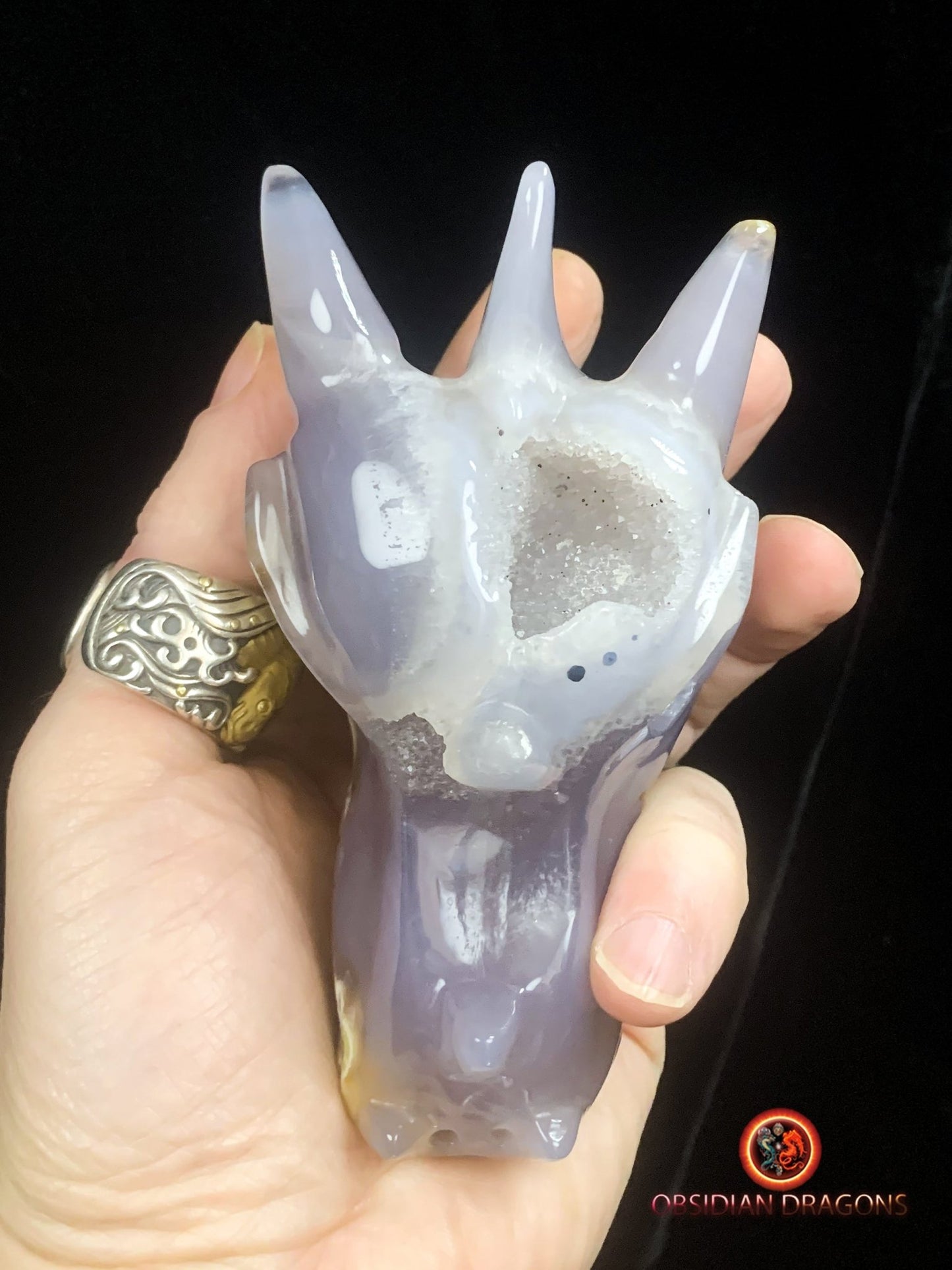 Crâne de dragon- Geode de quartz- Rare | obsidian dragons