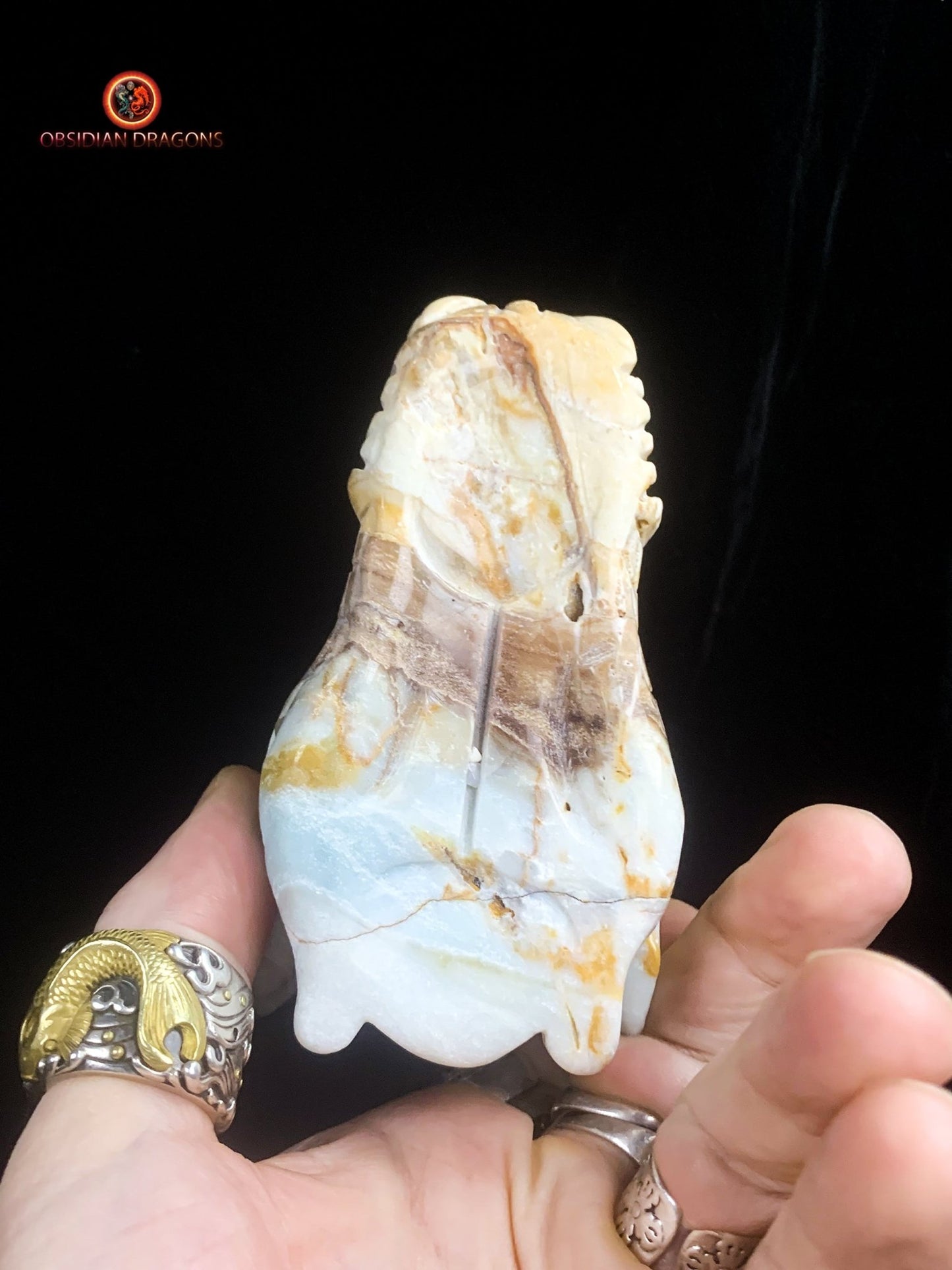 Crâne de dragon en Aragonite- Artisanal- Unique | obsidian dragons