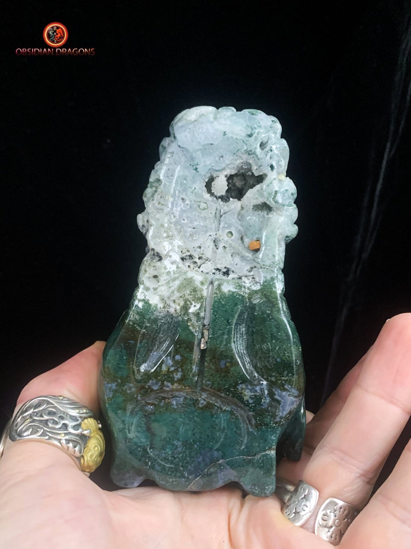 Grand crâne de dragon sculpté en agate mousse | obsidian dragons