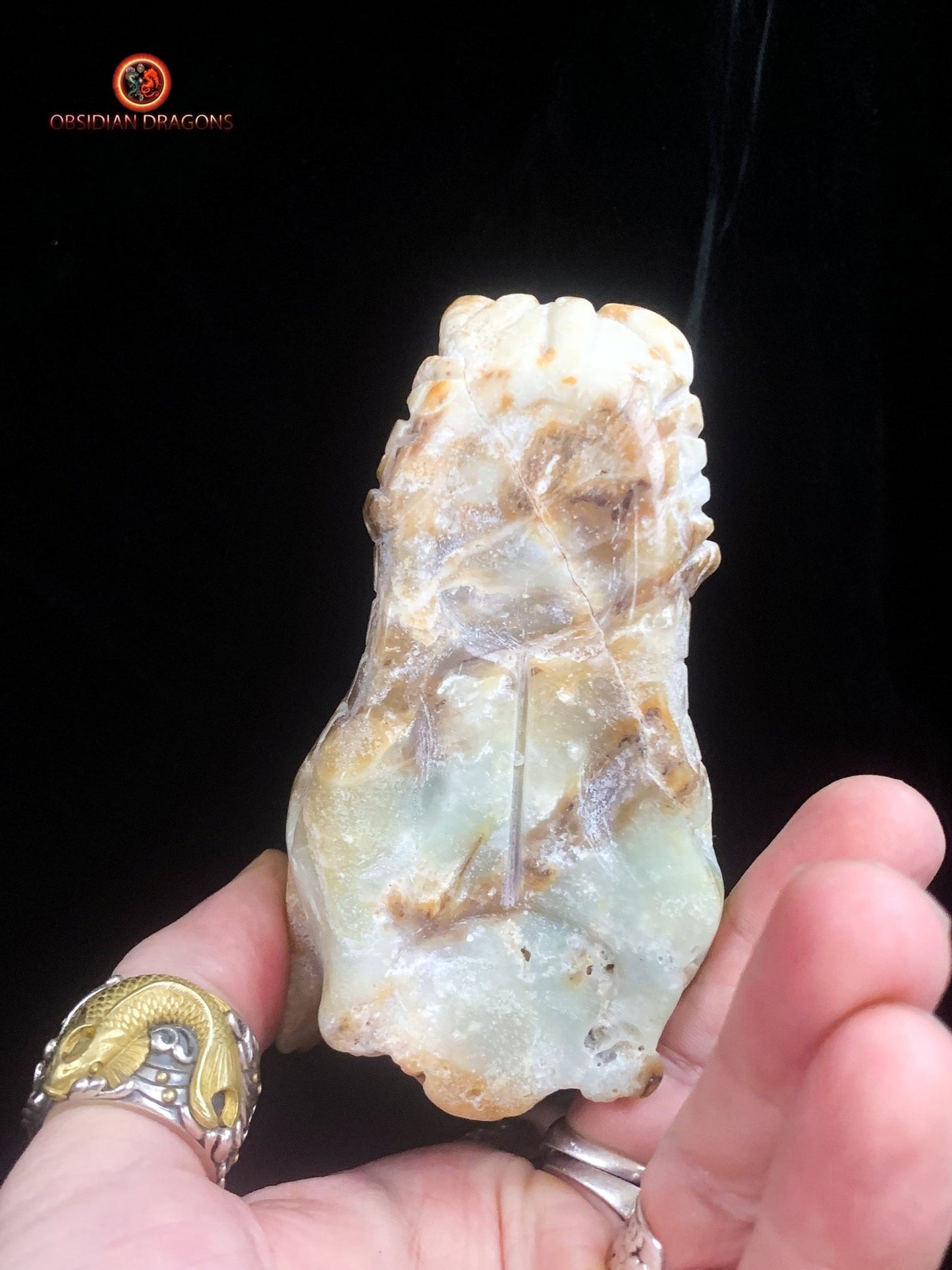 Crâne de dragon- Aragonite- Unique et artisanal | obsidian dragons