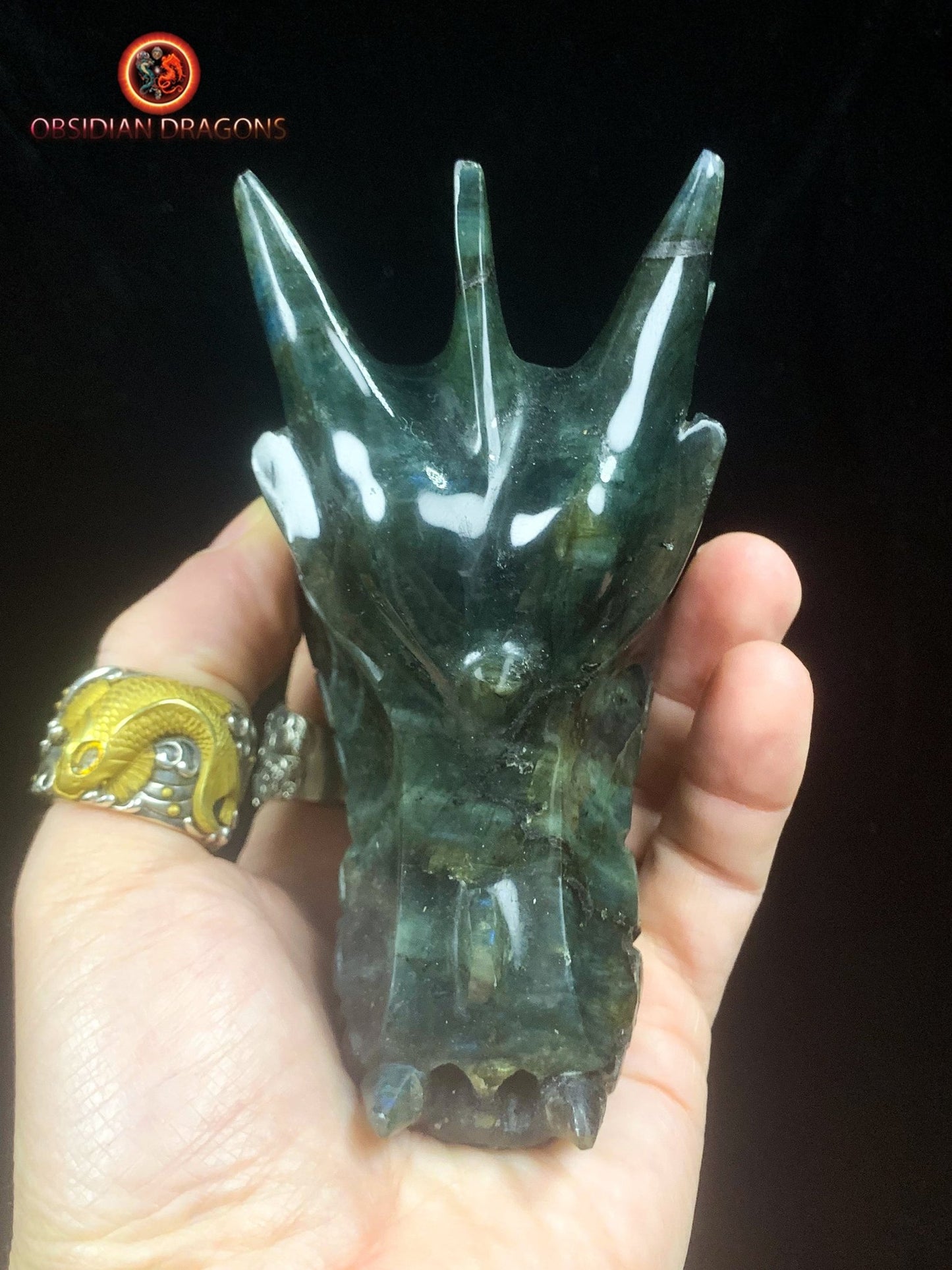 crâne de dragon- Labradorite- Artisanal