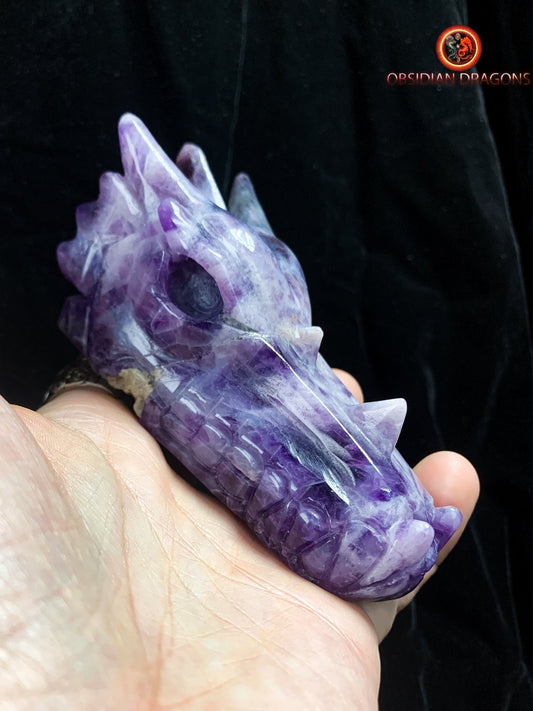 crâne de dragon en améthyste