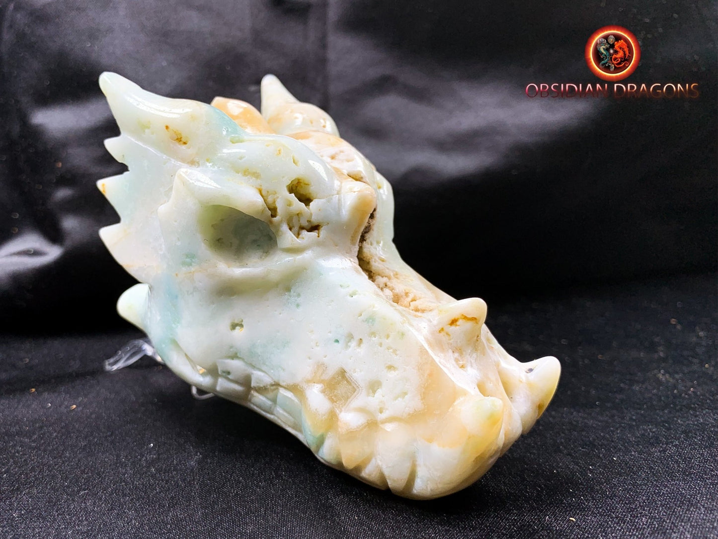 Crâne de dragon, tête de dragon, crâne de cristal, dragon skull