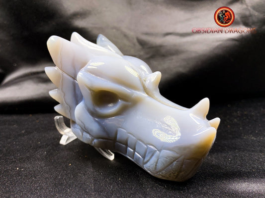 Crâne de dragon, tête de dragon, crâne de cristal, dragon skull