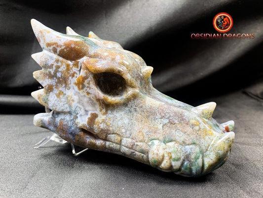 Crâne de dragon, tête de dragon, crâne de cristal, dragon skull