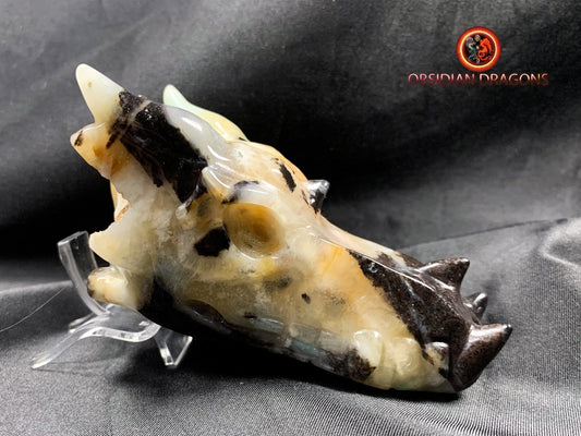 Crâne de dragon, tête de dragon, crâne de cristal, dragon skull,