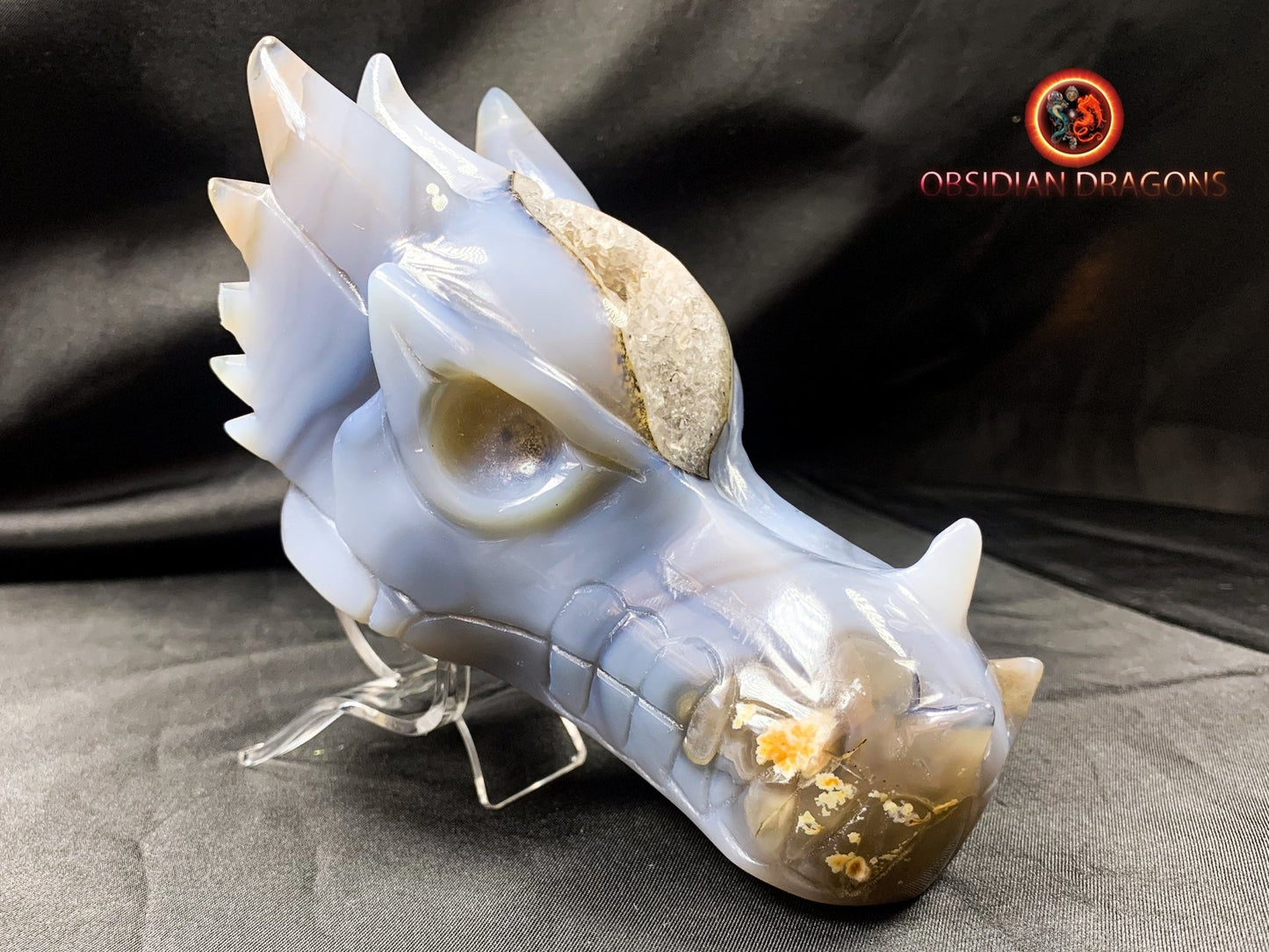 Crâne de dragon, tête de dragon, crâne de cristal, dragon skull,