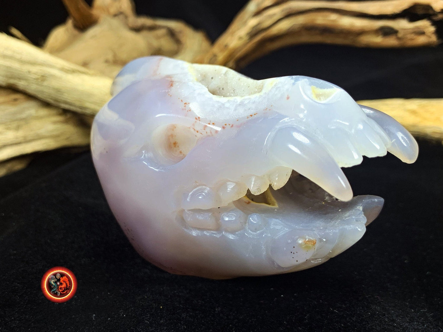 Crane de protection. Leopard Zheng. Dragon. Aspirateur d'energie impure, garant de l'ordre cosmique. Crane de dragon, sculpté dans une geode - obsidian dragon