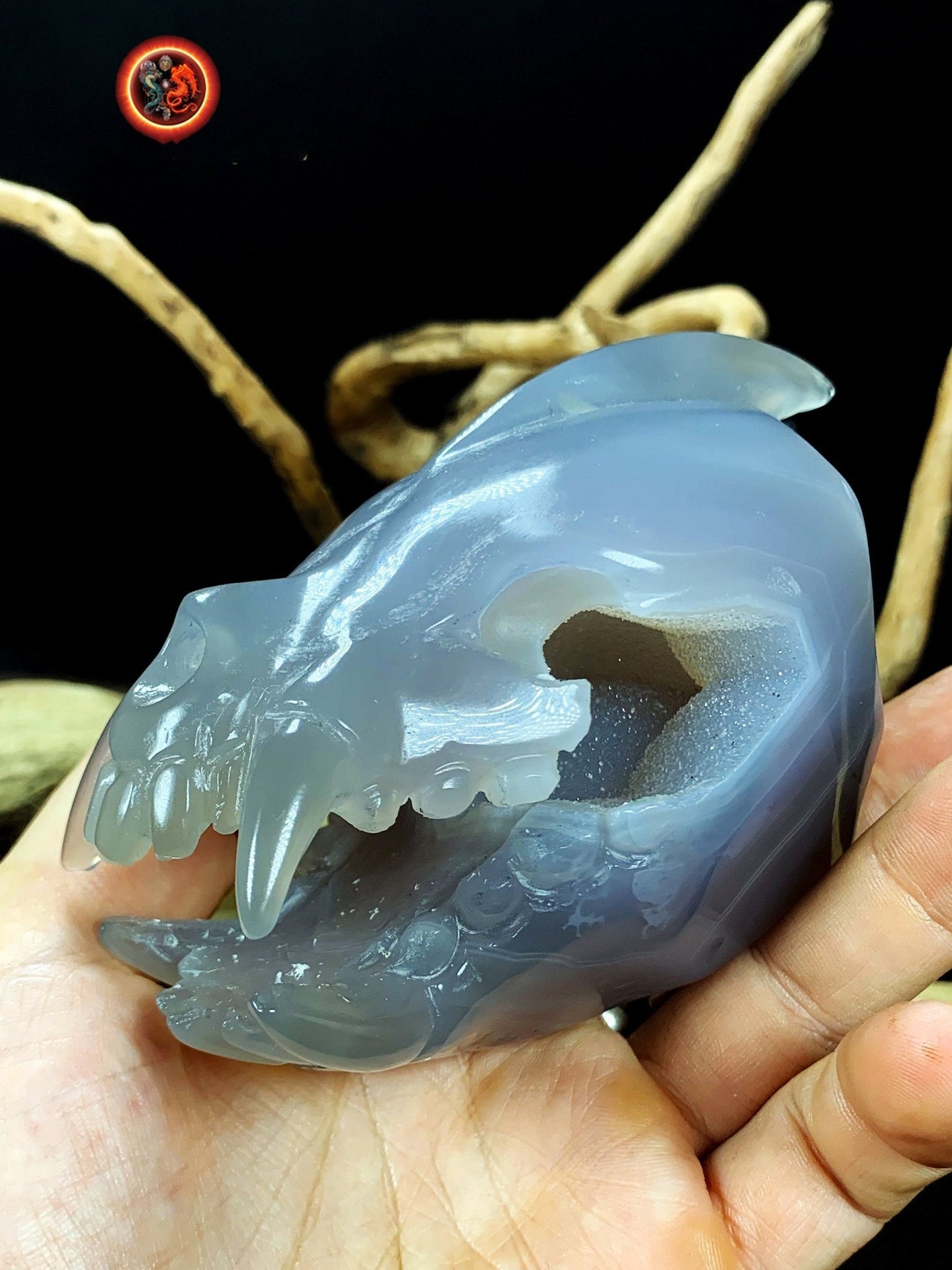 Crane de protection. Leopard Zheng. Dragon. Aspirateur d'energie impure, garant de l'ordre cosmique. Crane de dragon, sculpté dans une geode - obsidian dragon