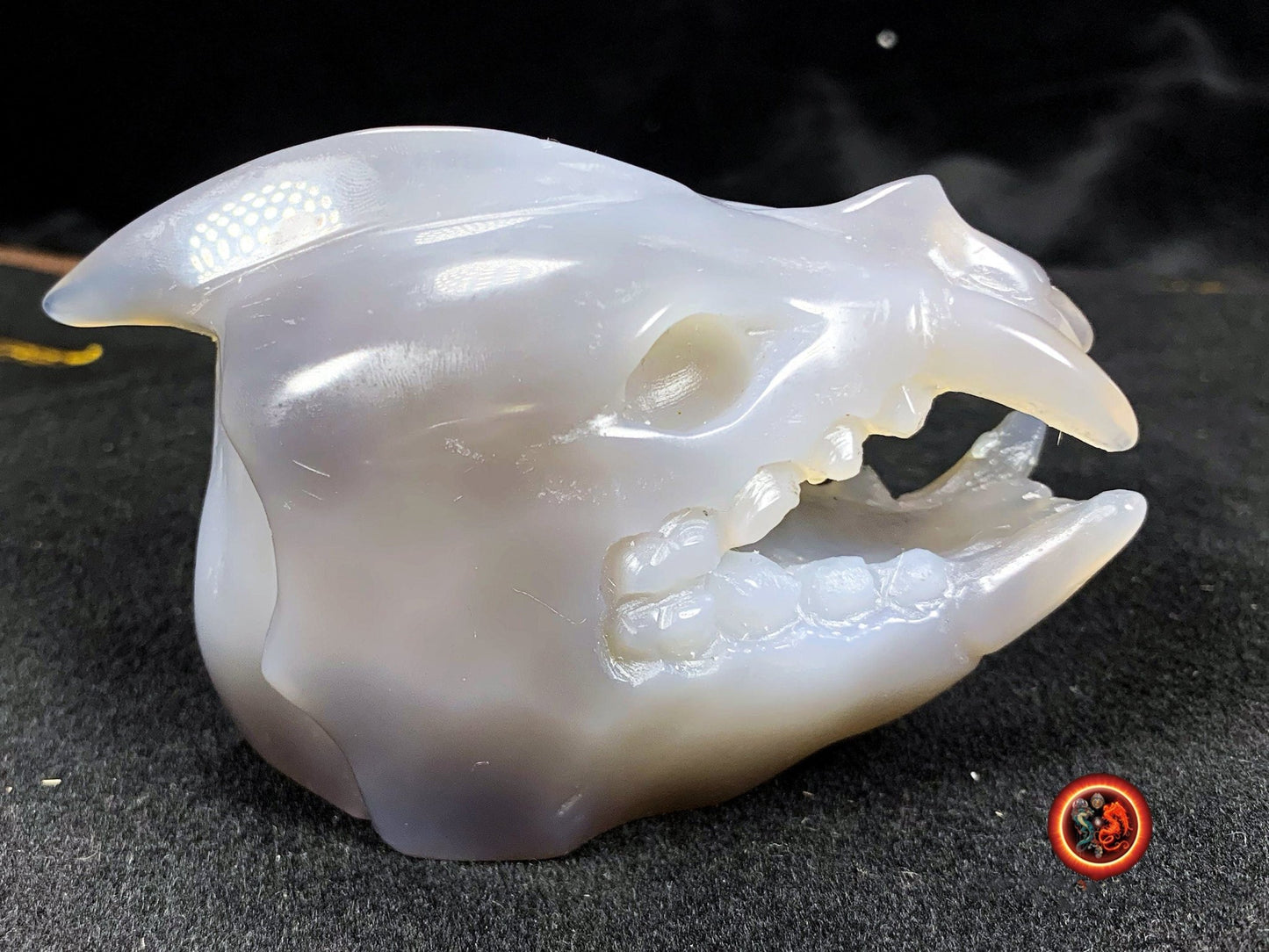 Crane de protection. Leopard Zheng. Dragon. Aspirateur d'energie impure, garant de l'ordre cosmique. Crane de dragon, sculpté dans une geode - obsidian dragon