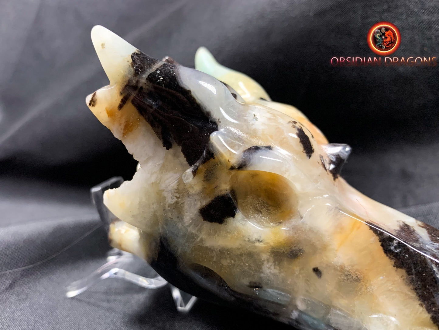 Crâne de dragon, tête de dragon, crâne de cristal, dragon skull,